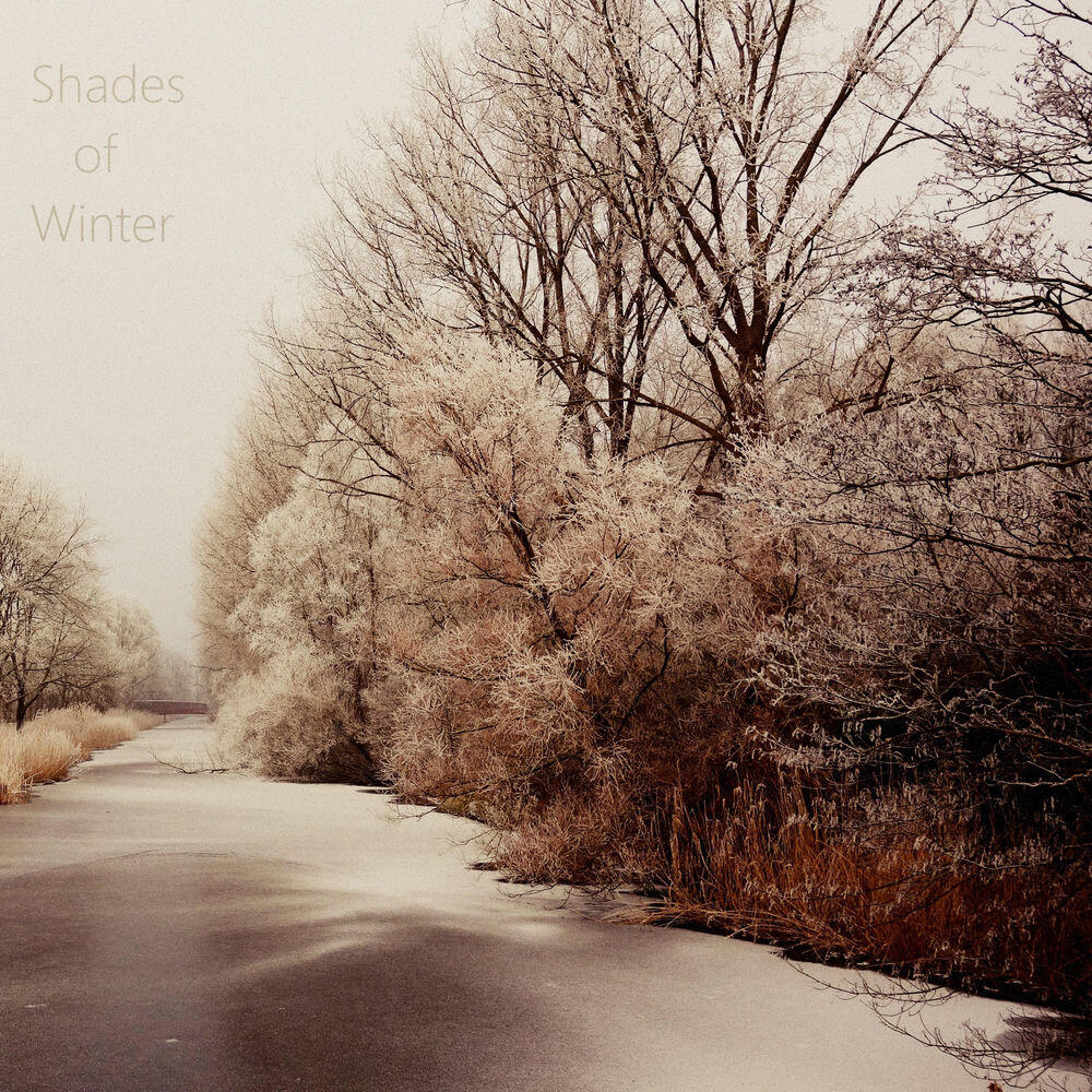 Релиз Shades of Winter