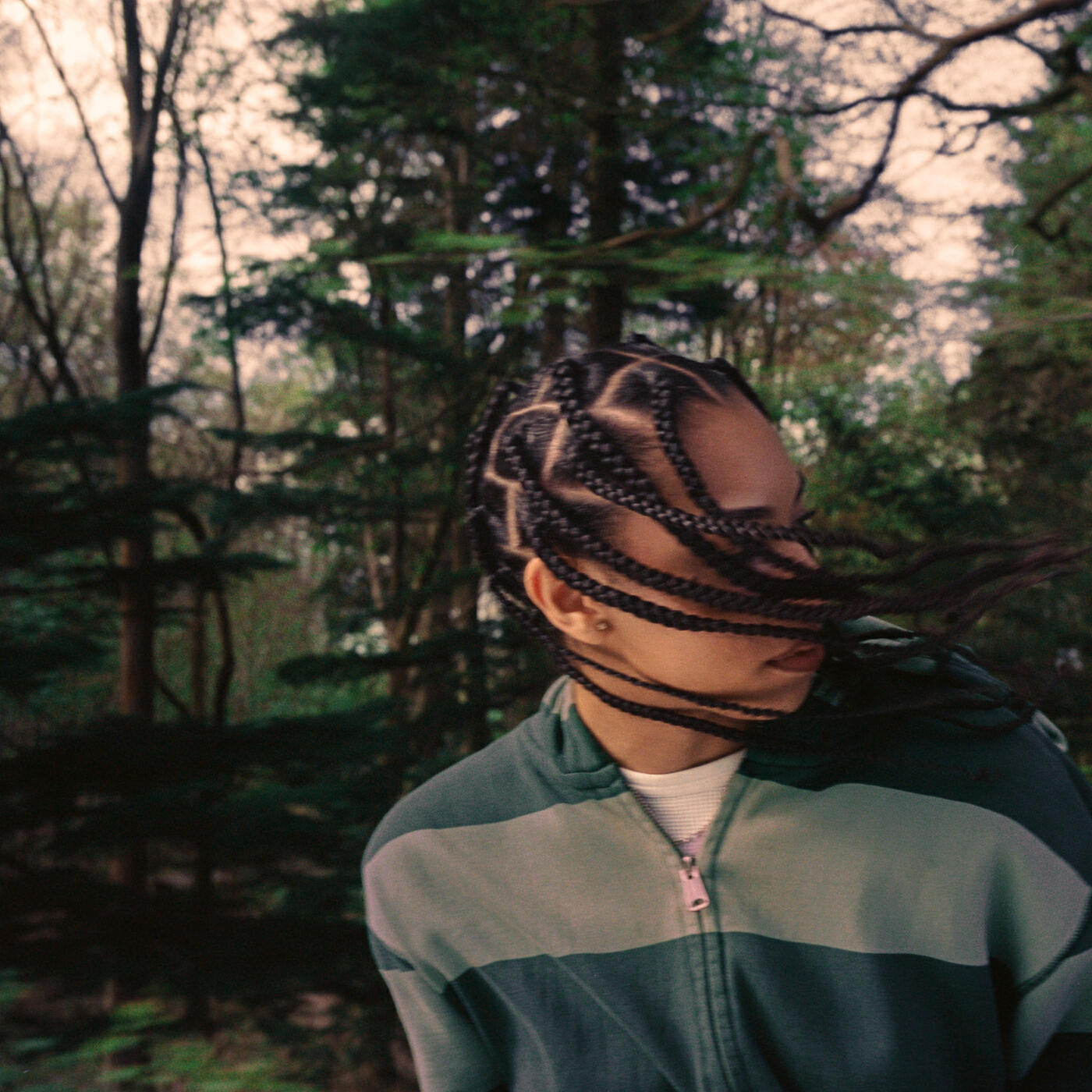 Релиз trees for the woods
