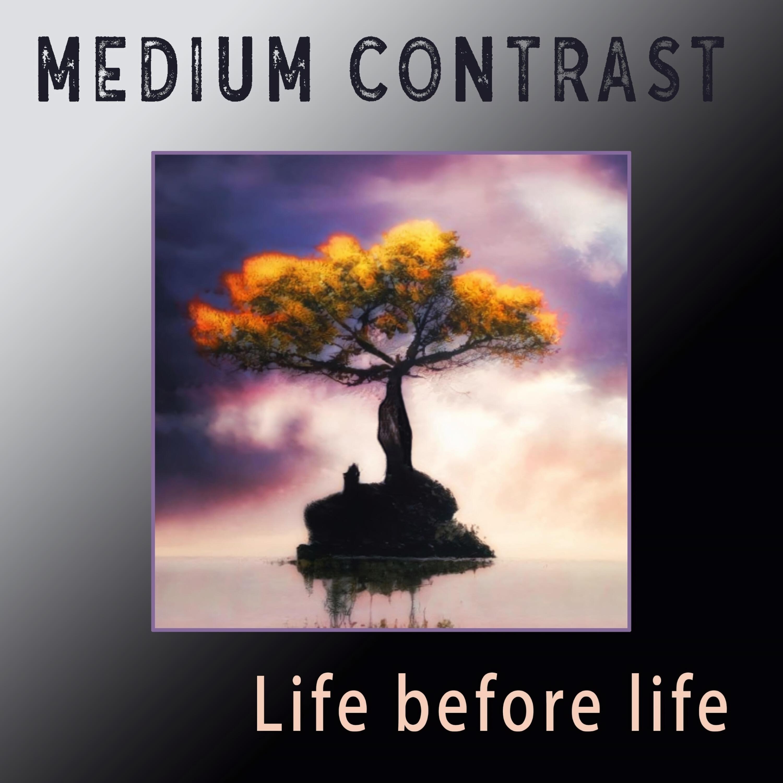 Релиз Life Before Life