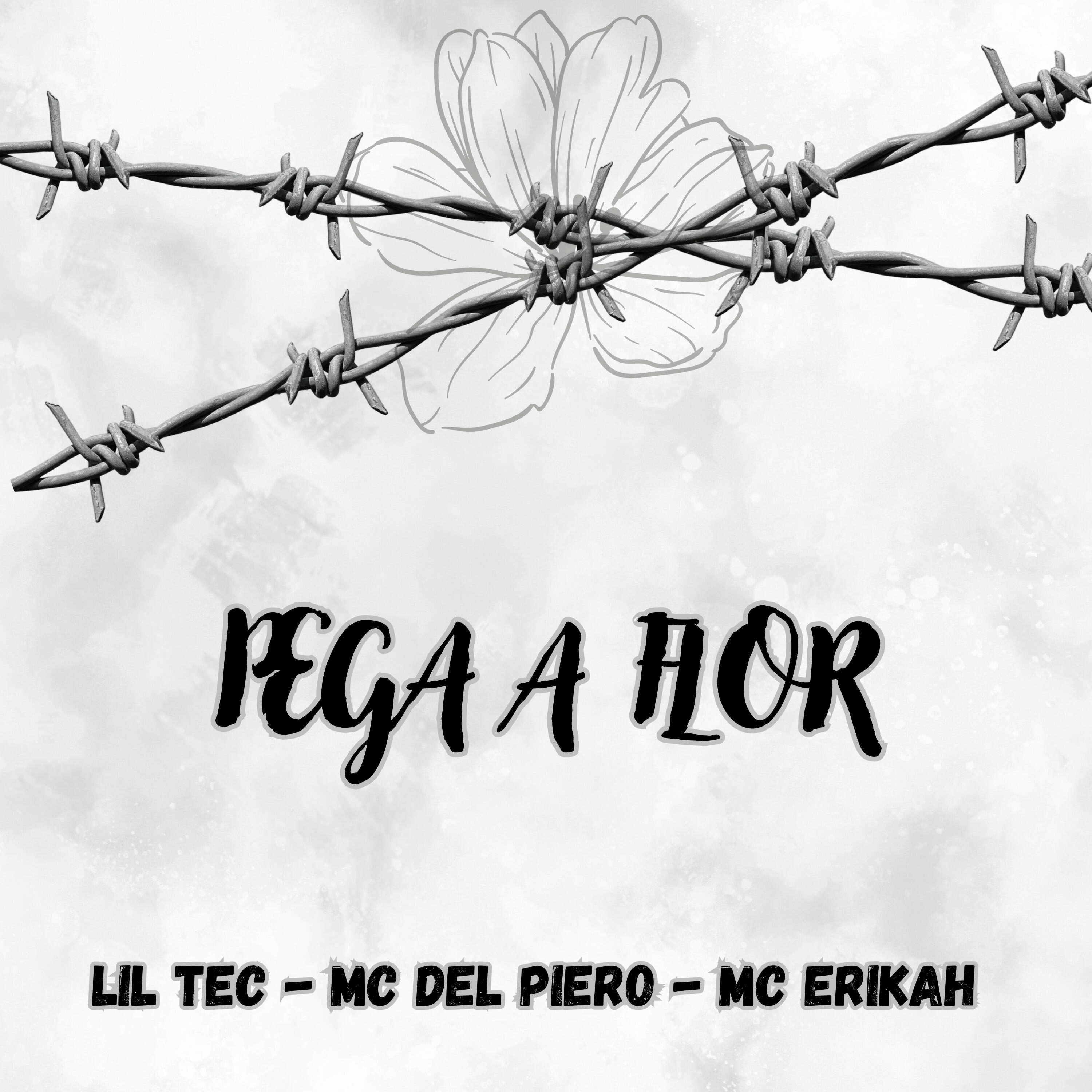 Скачать песню Lil Tec, MC Del Piero, Mc Erikah - Pega a Flor бесплатно в MP3 для Android и iOS