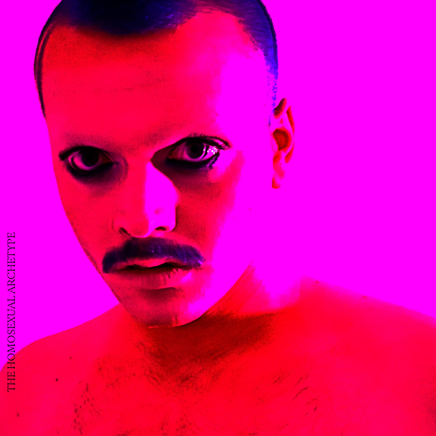 Релиз The Homosexual Archetype