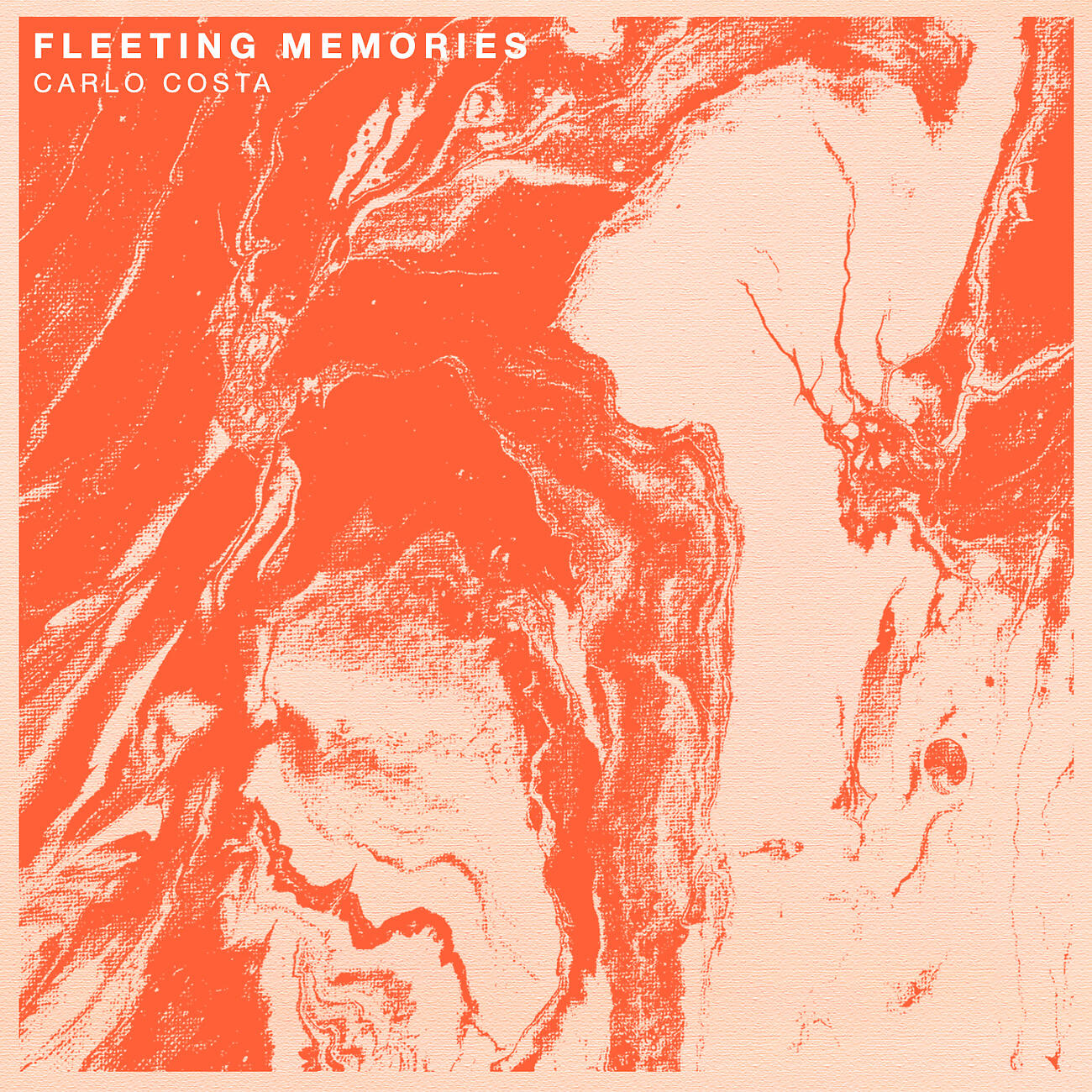 Релиз Fleeting Memories