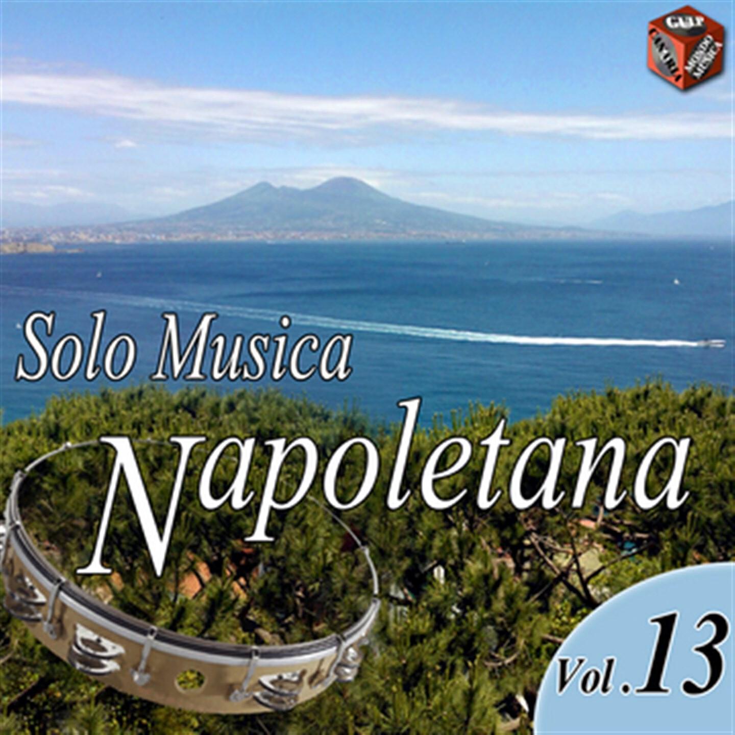Релиз Solo musica napoletana, Vol. 13