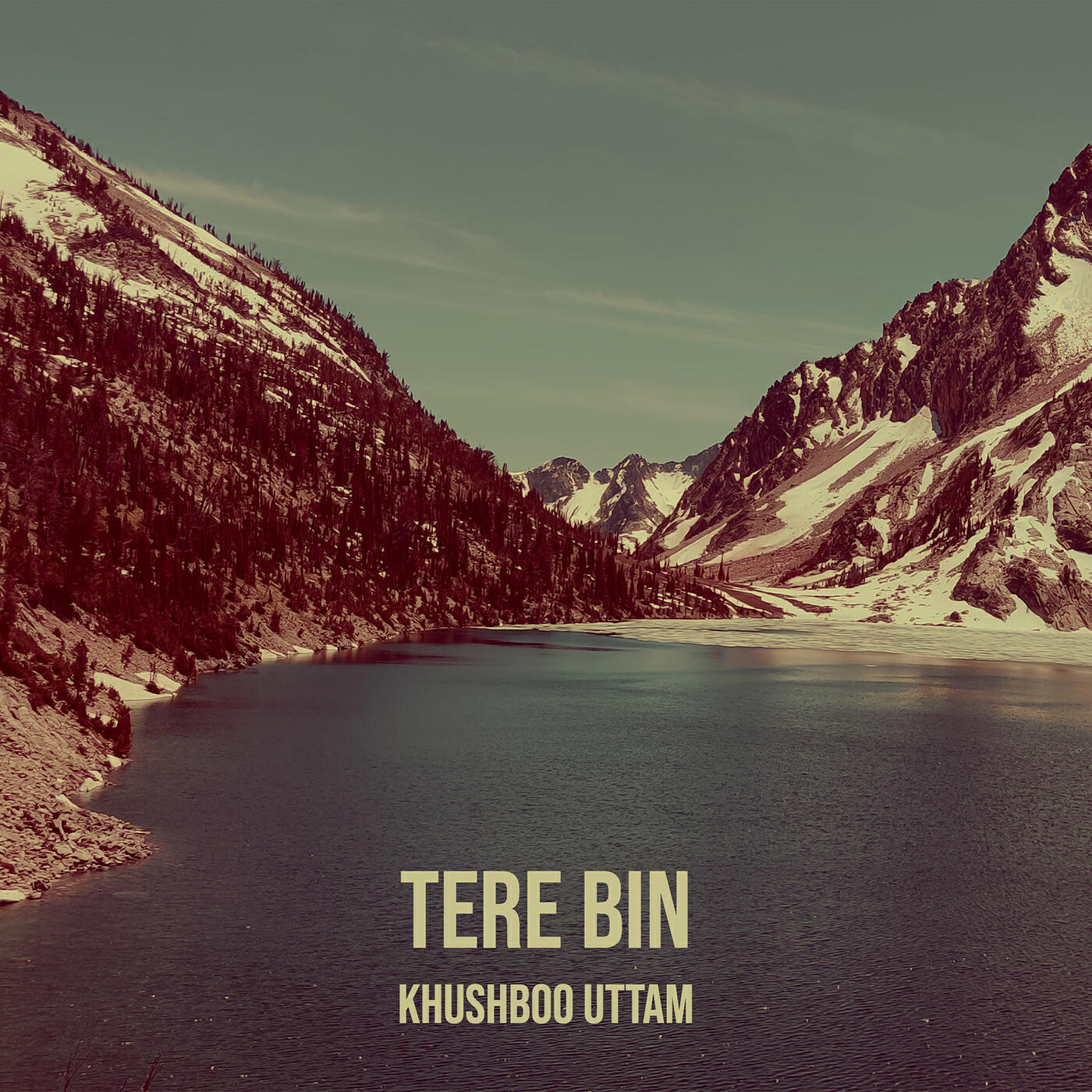 Релиз Tere Bin