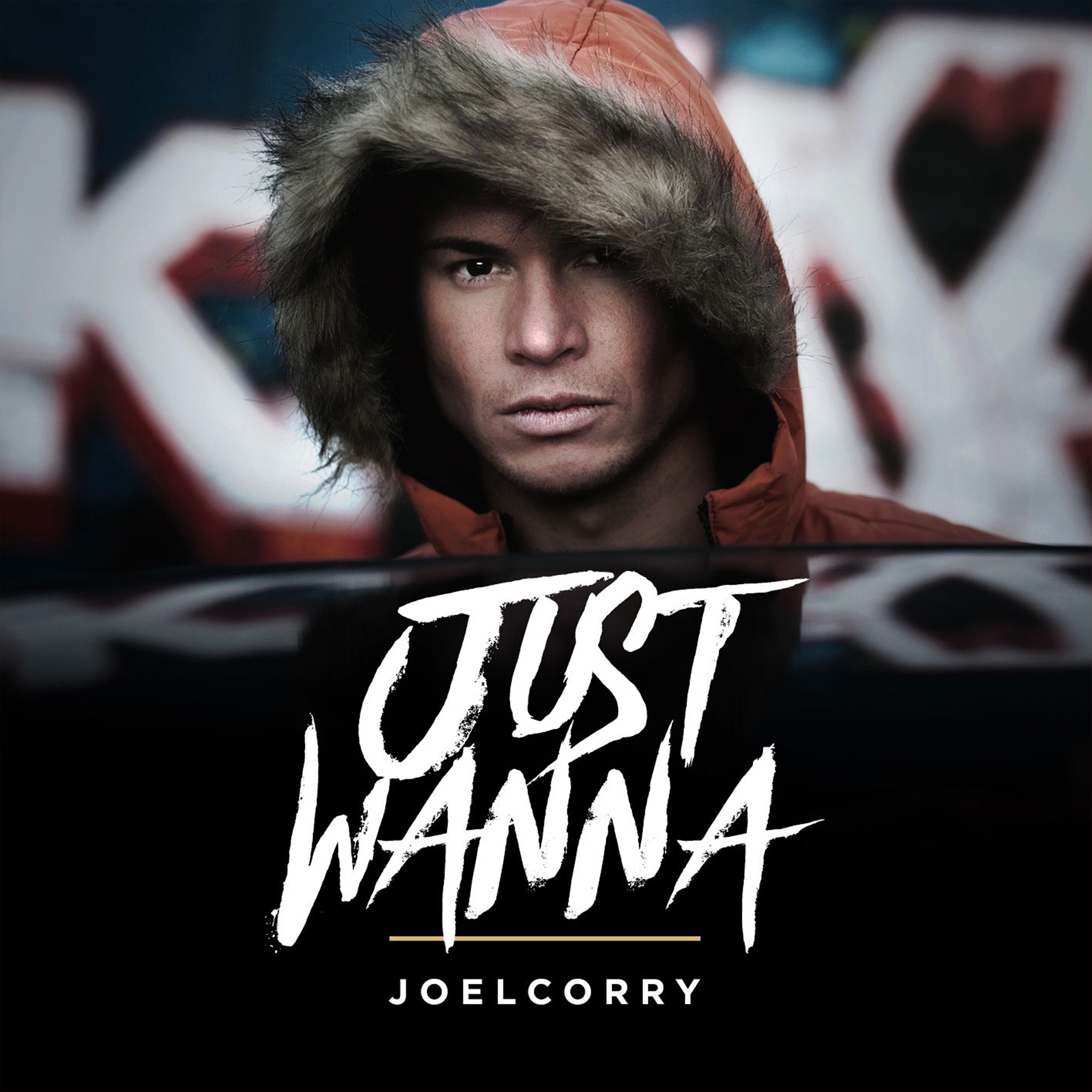 Постер альбома Just Wanna (Wideboys Screwface Mix)