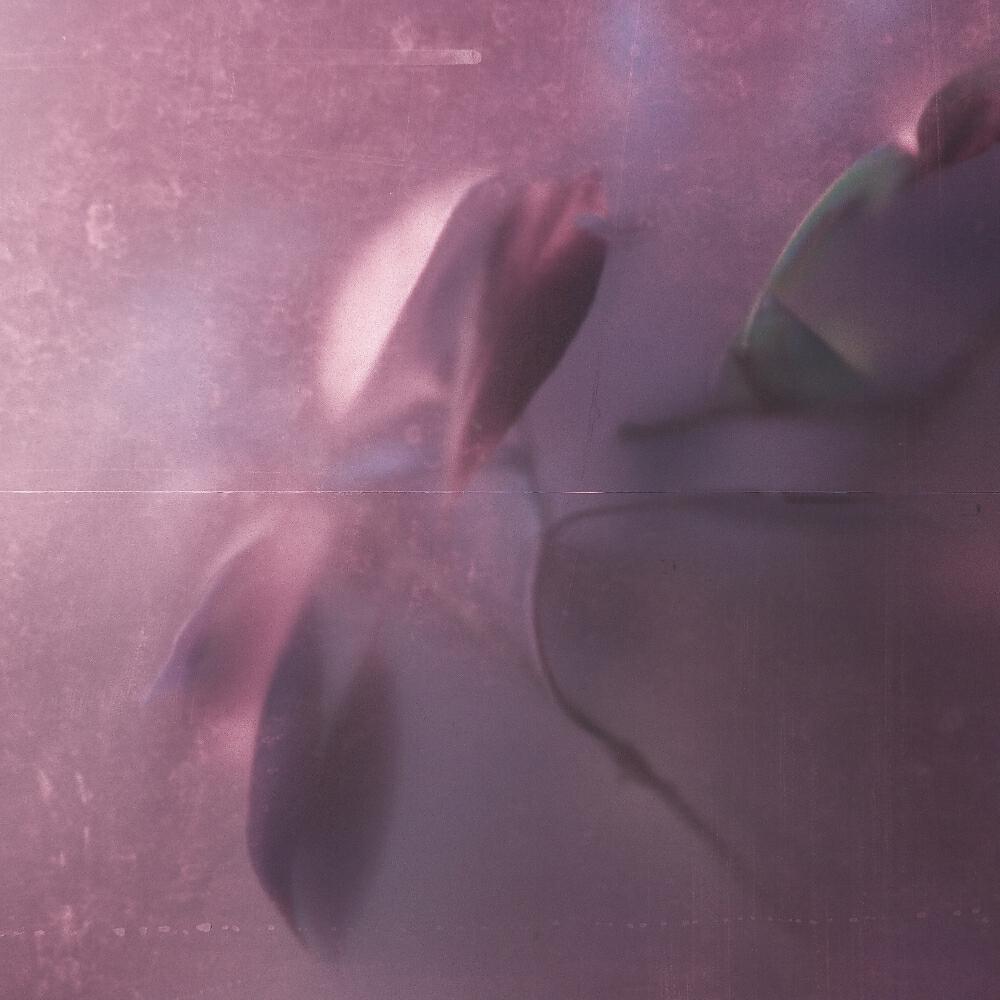 Релиз Saturator (ROM 3Ø3 Remix)