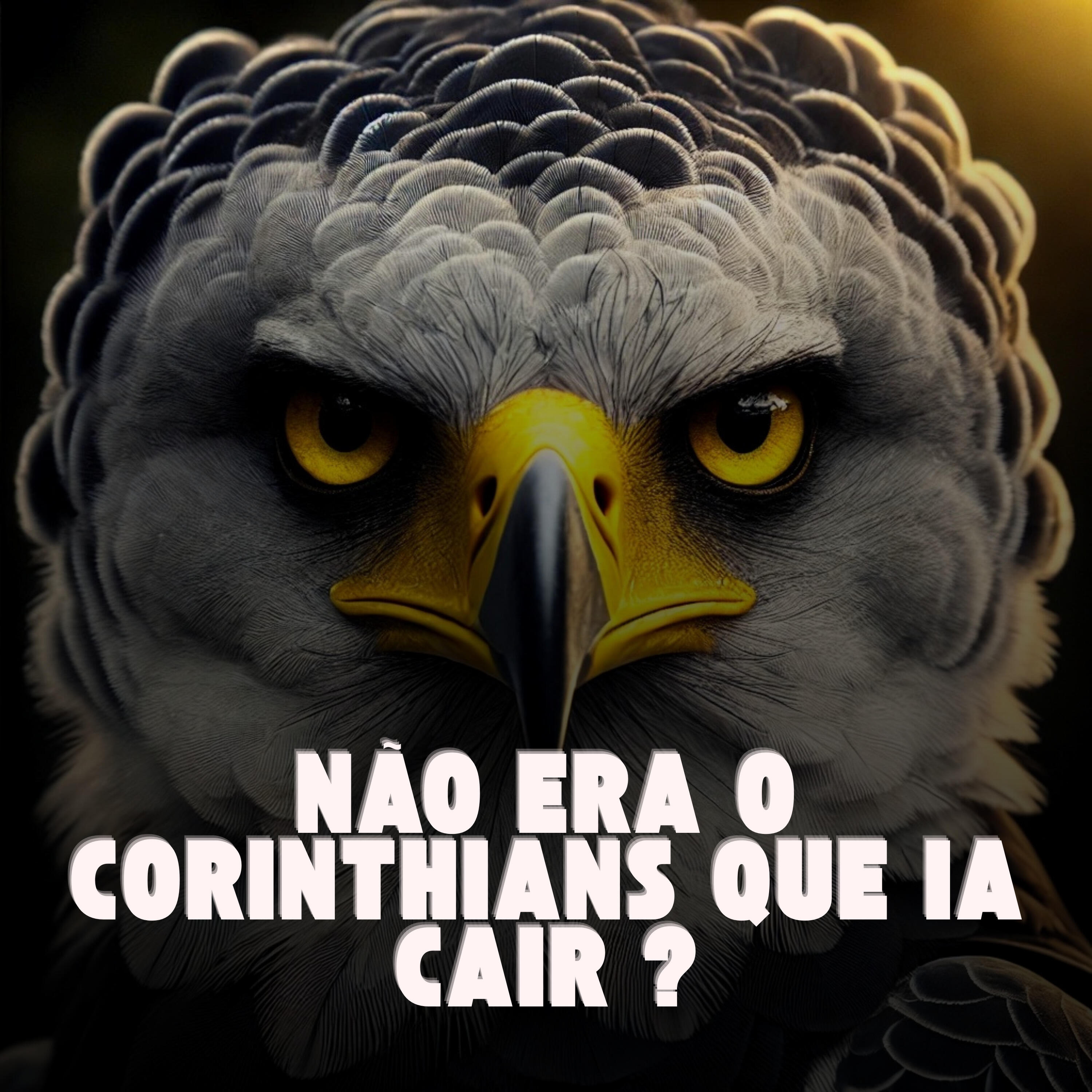Релиз NÃO ERA O CORINTHIANS QUE IA CAIR ?