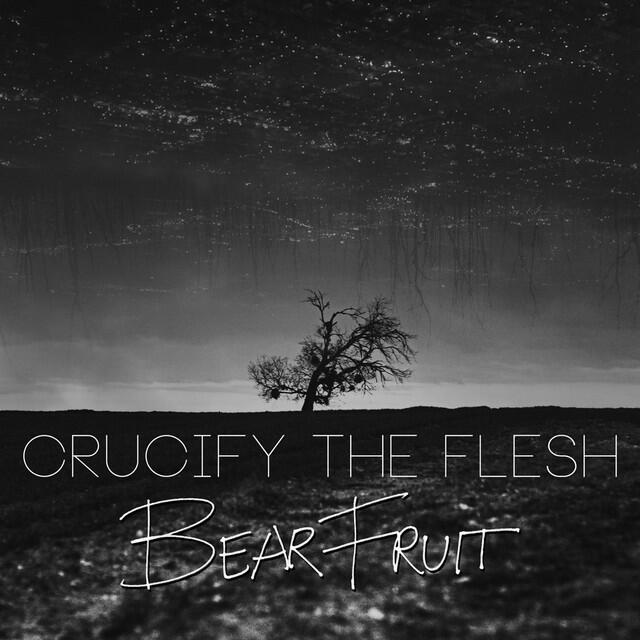 Релиз Bear Fruit