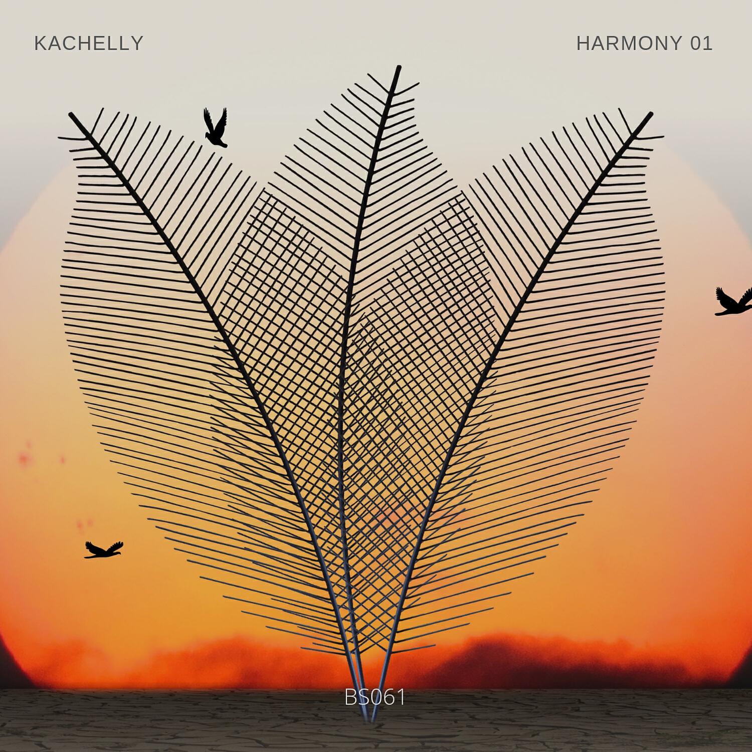 Релиз Harmony 01