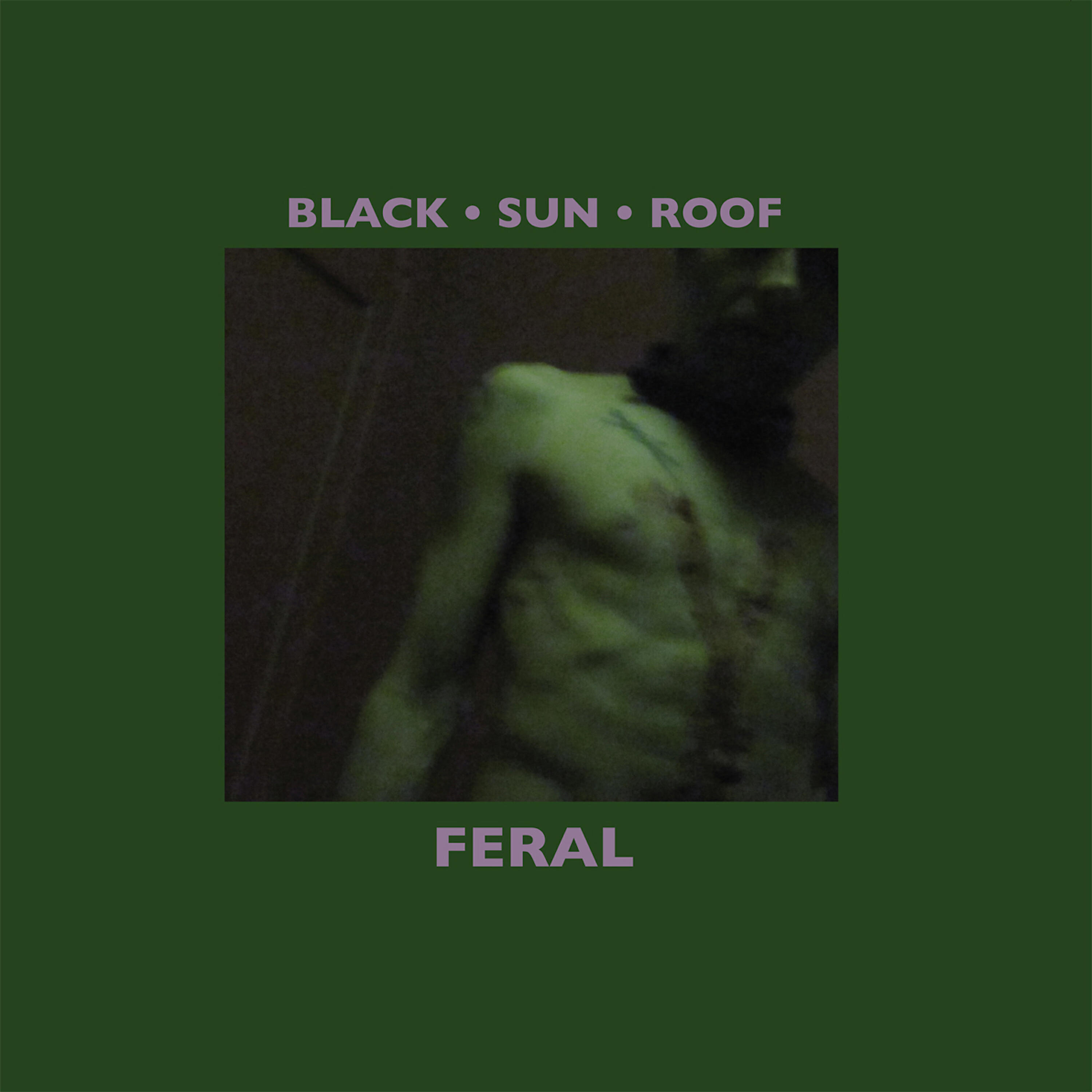 Релиз Feral