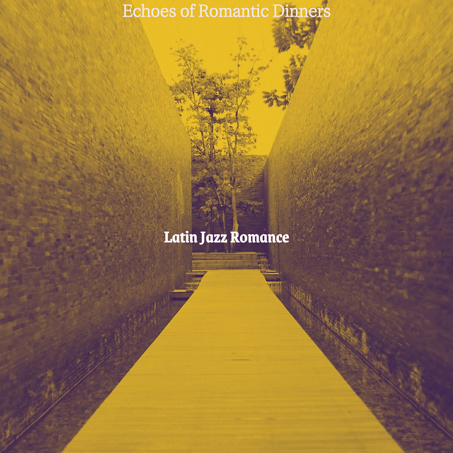 Latin Jazz Romance
