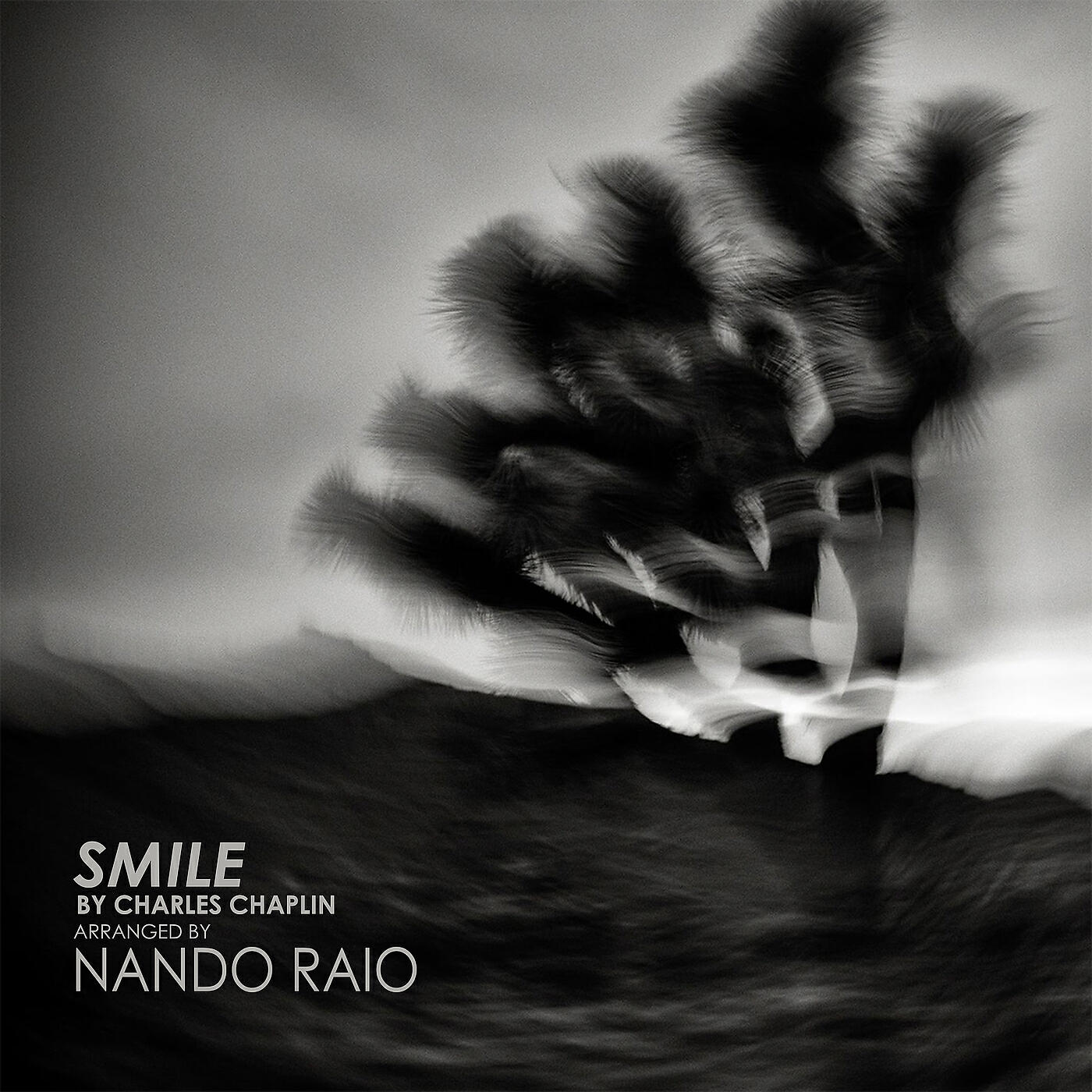 Nando Raio