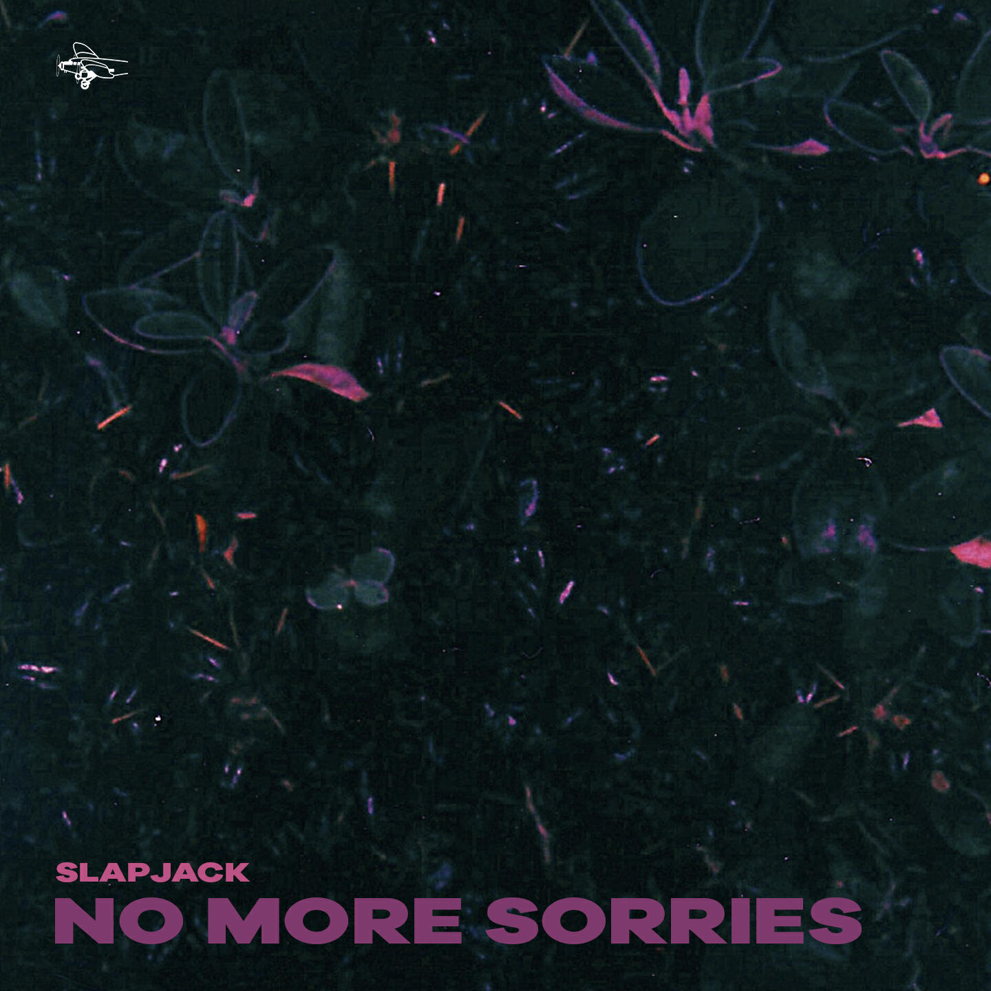 Релиз No More Sorries