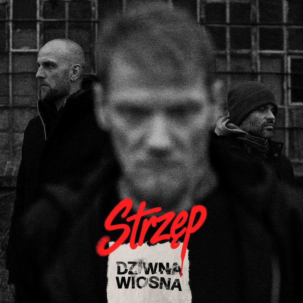 Релиз Strzęp