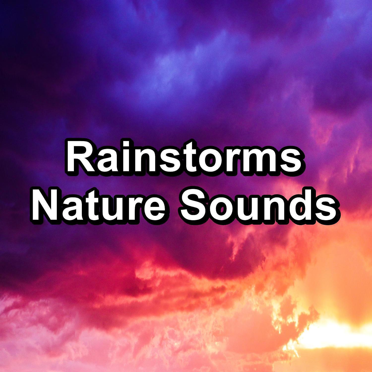 Релиз Rainstorms Nature Sounds