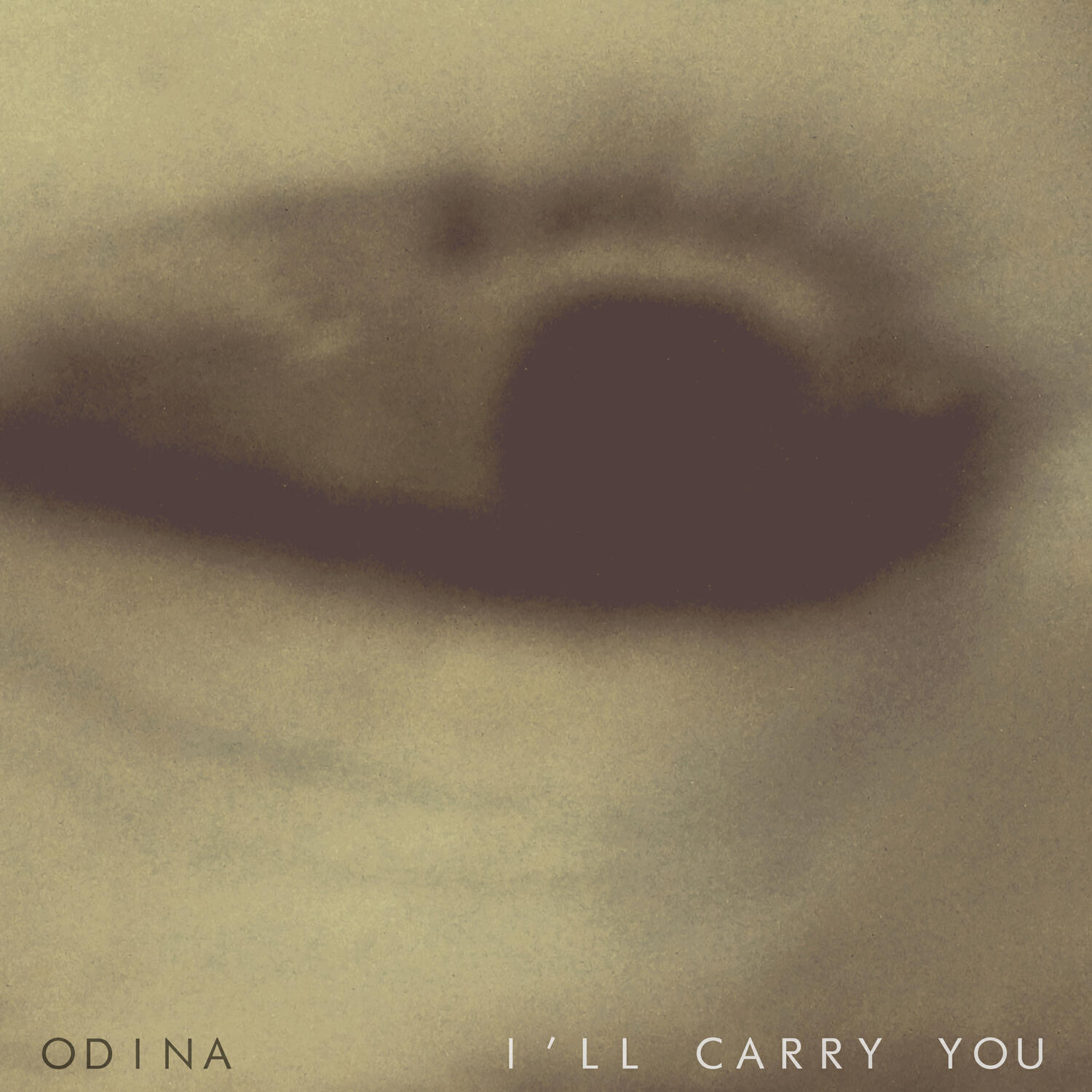 Релиз I'll Carry You