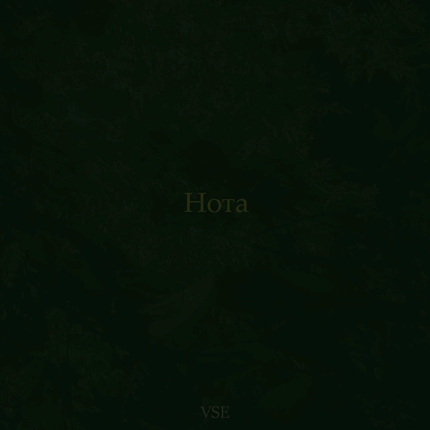Релиз Нота