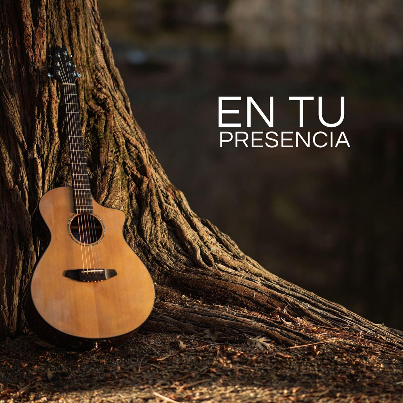 Релиз En Tu Presencia