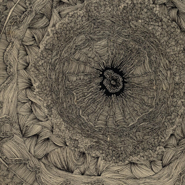 Релиз Appropriation Loops