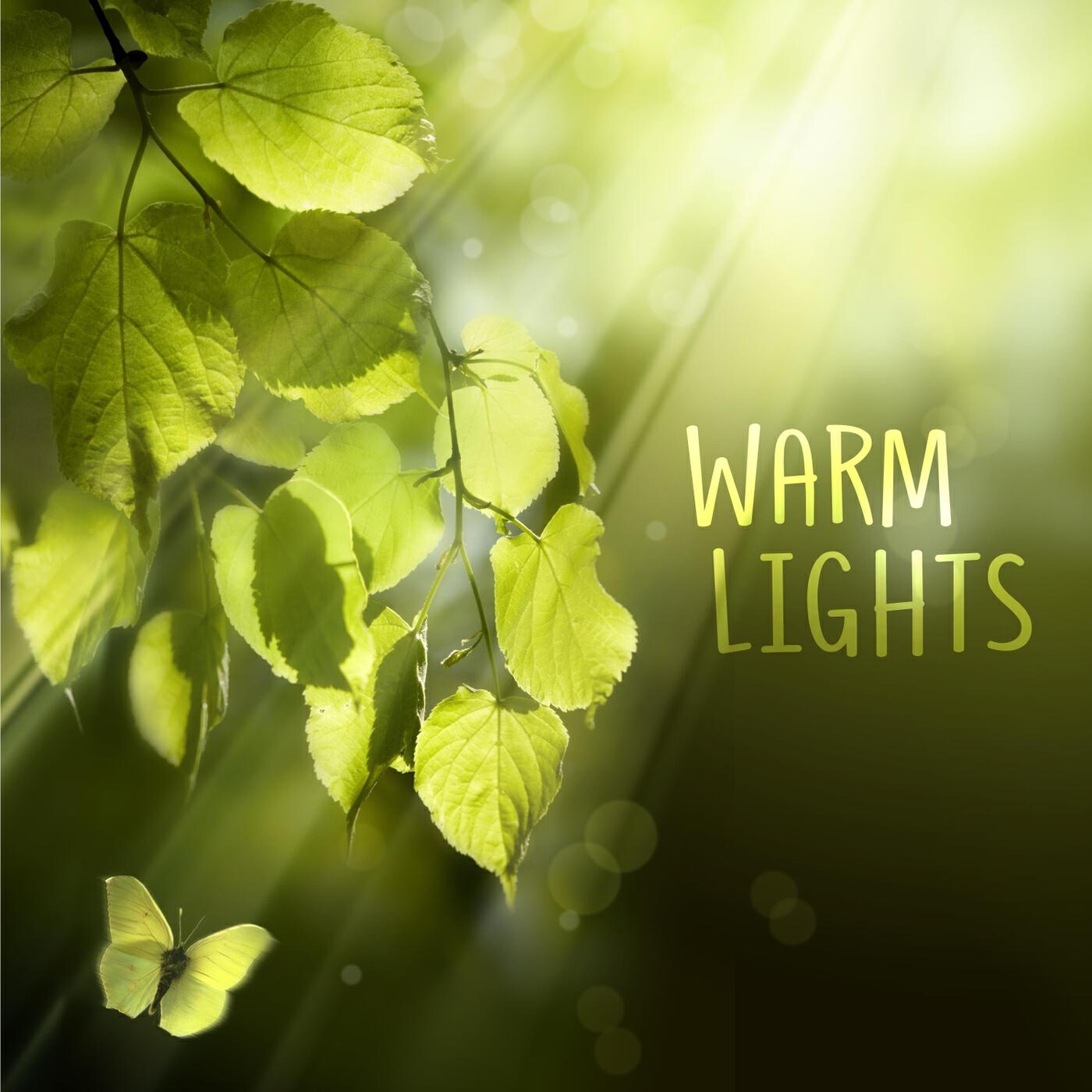 Релиз Warm Lights