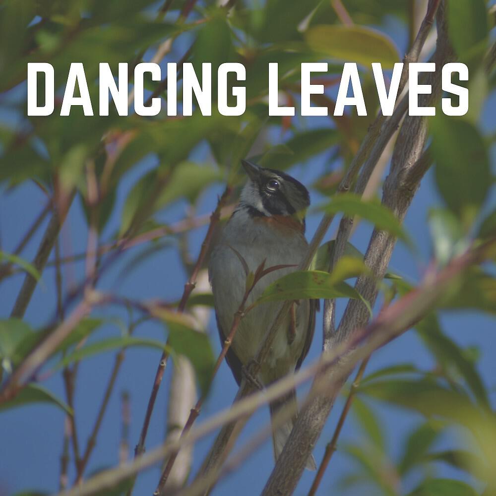 Релиз Dancing Leaves