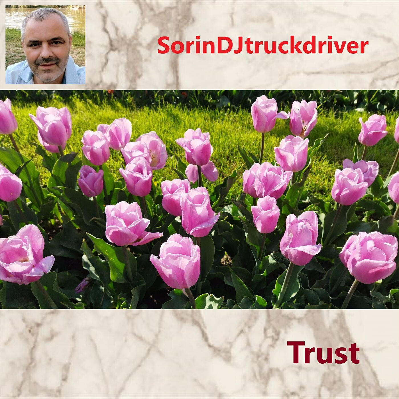 Релиз Trust