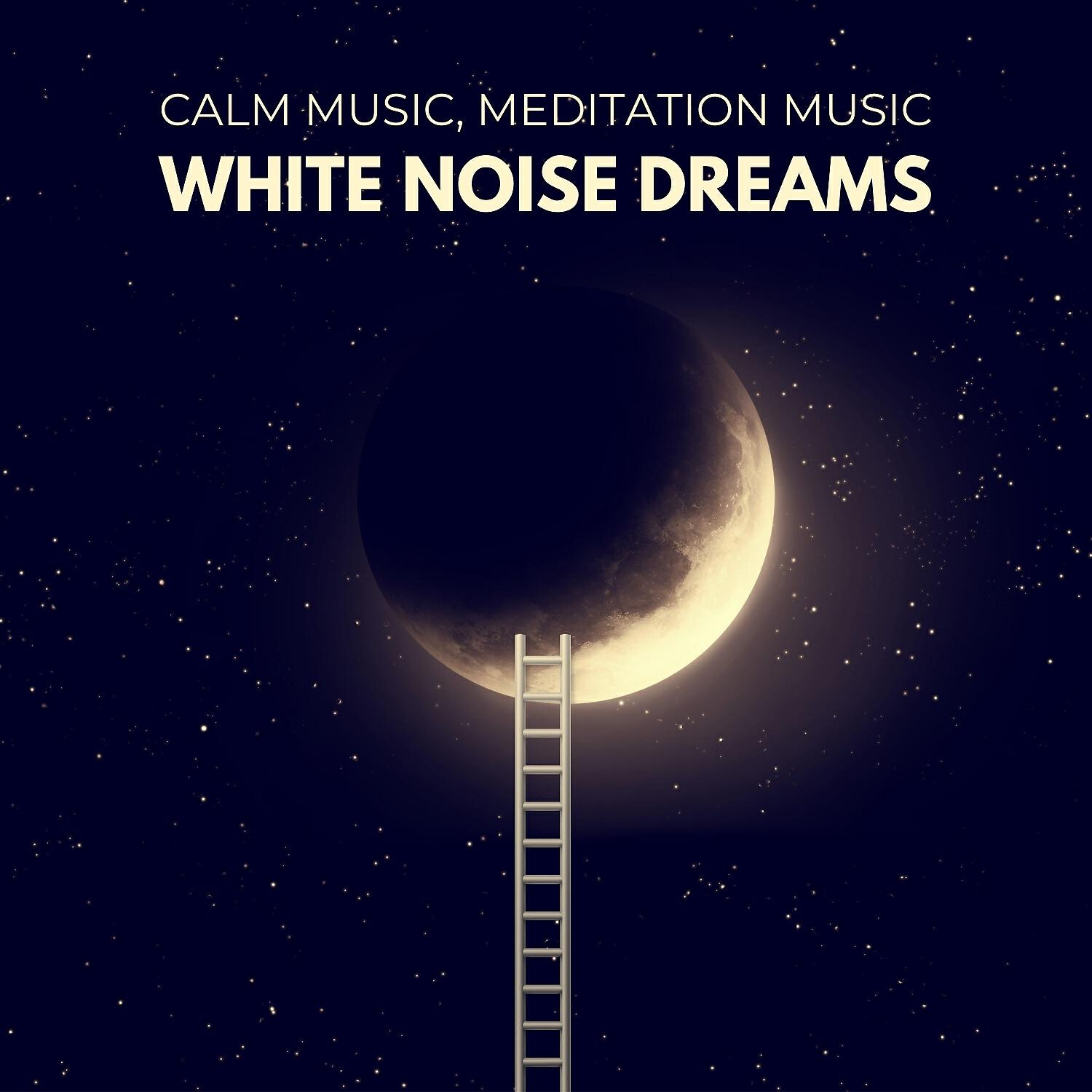 Релиз White Noise Dreams