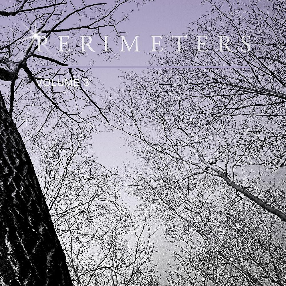 Релиз Perimeters, Vol. 3