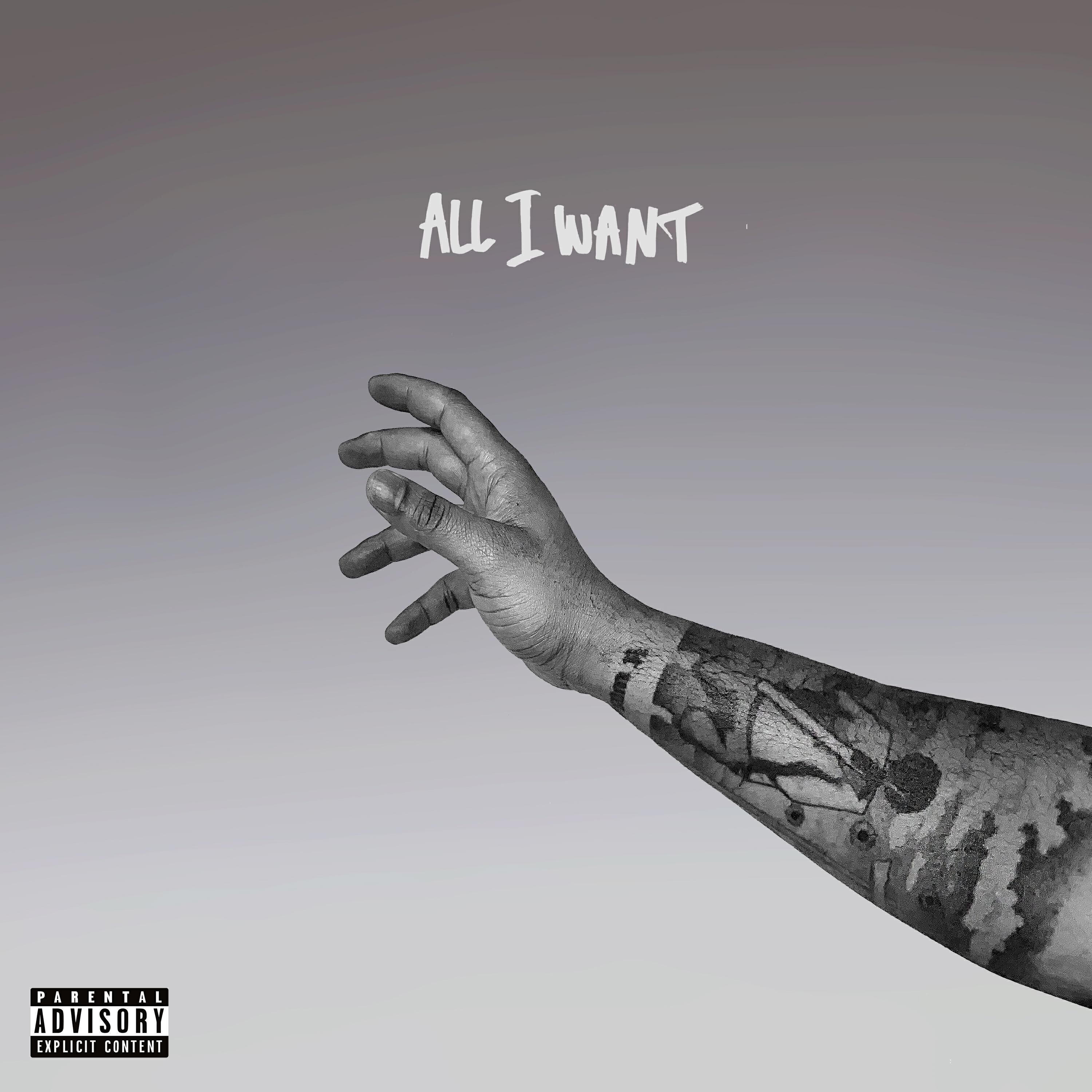 Релиз All I Want