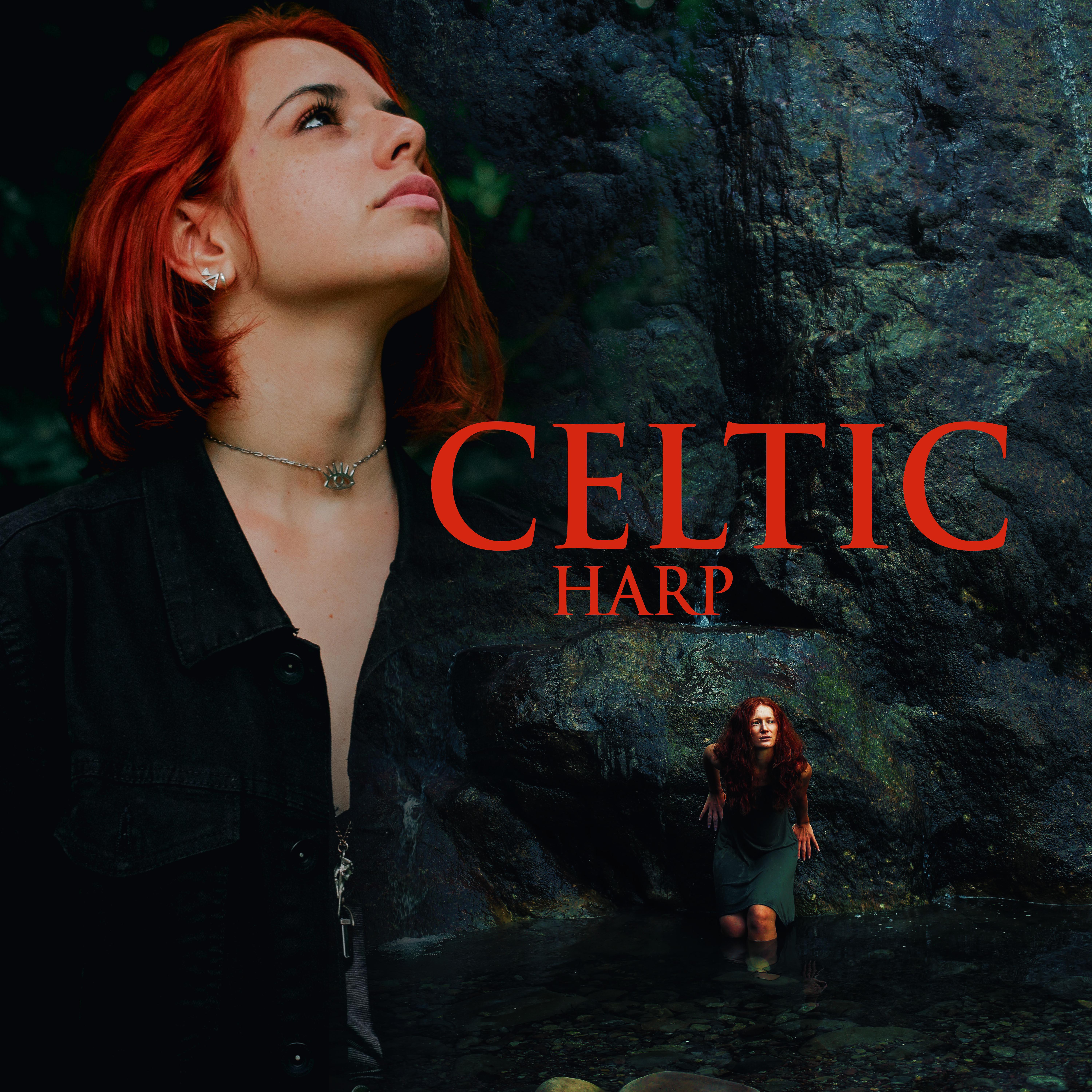 Релиз Celtic Harp
