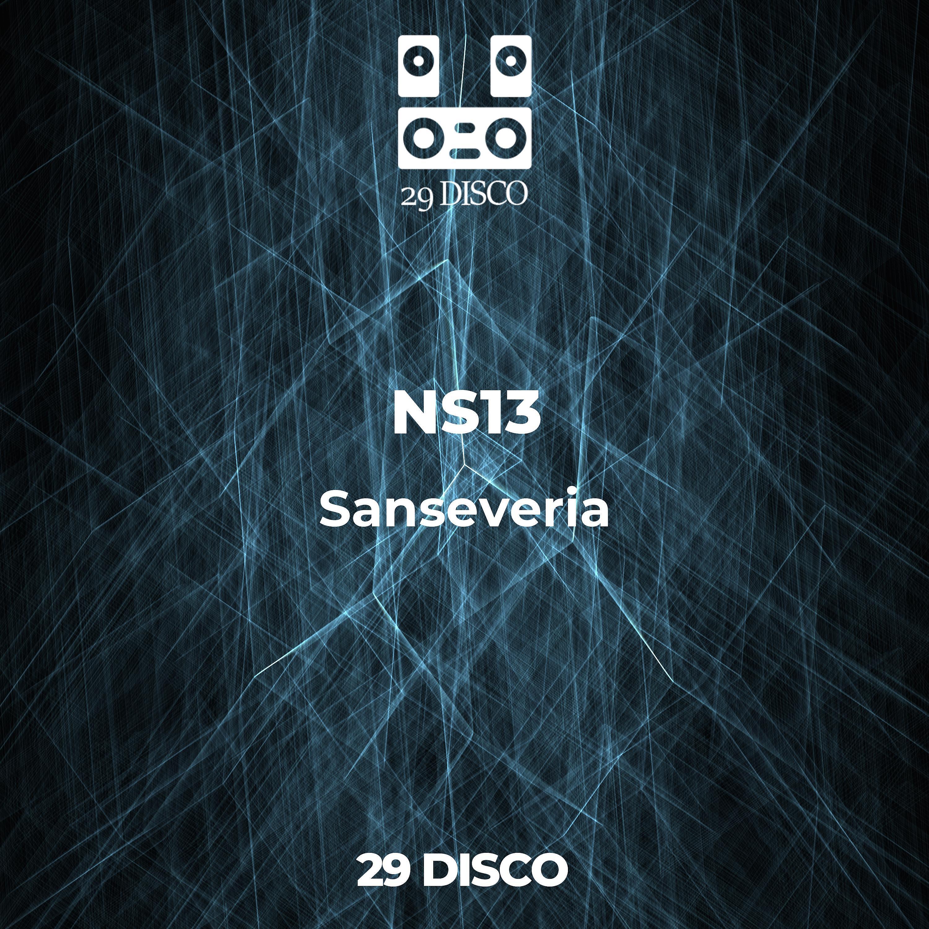 NS13