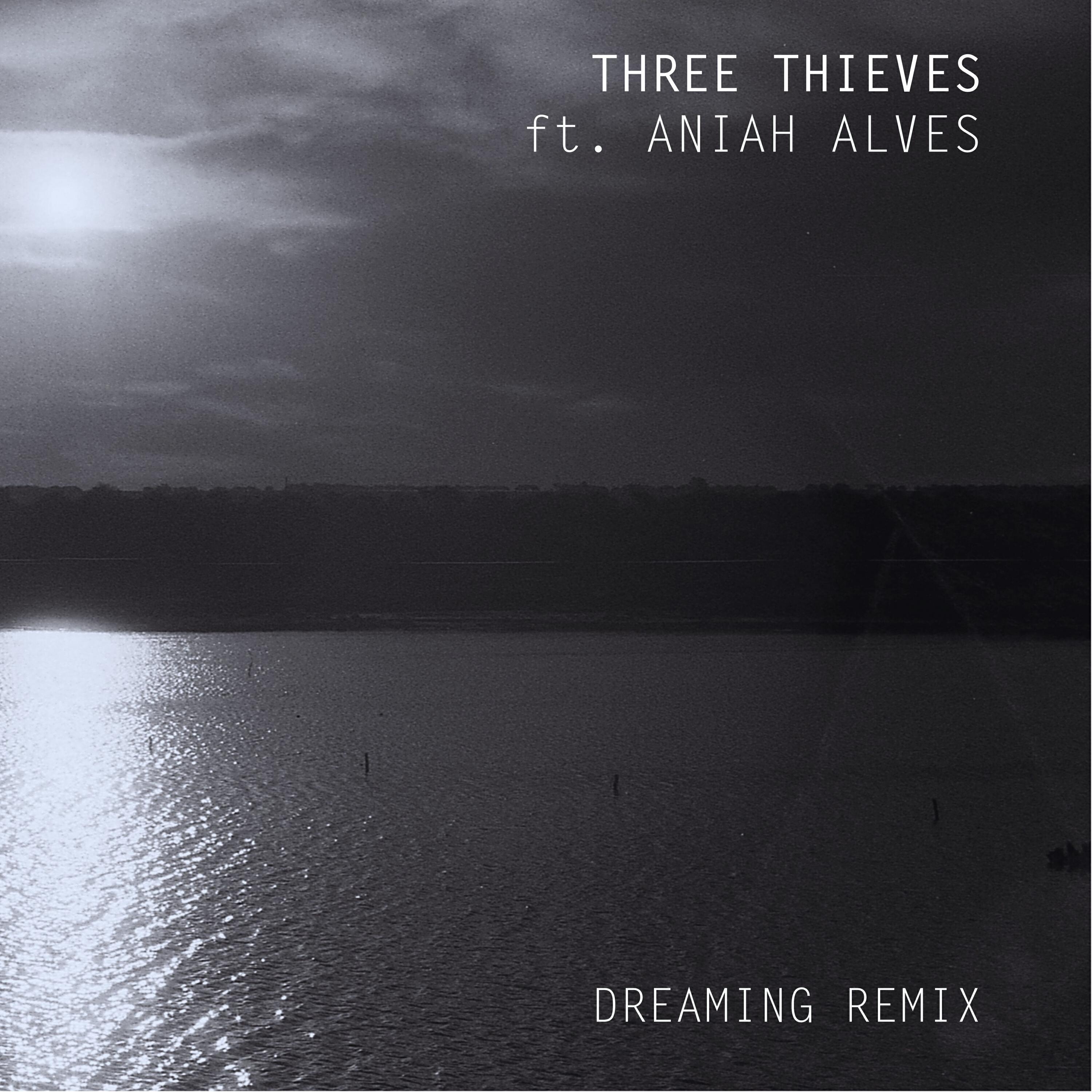 Релиз Dreaming (Remix)