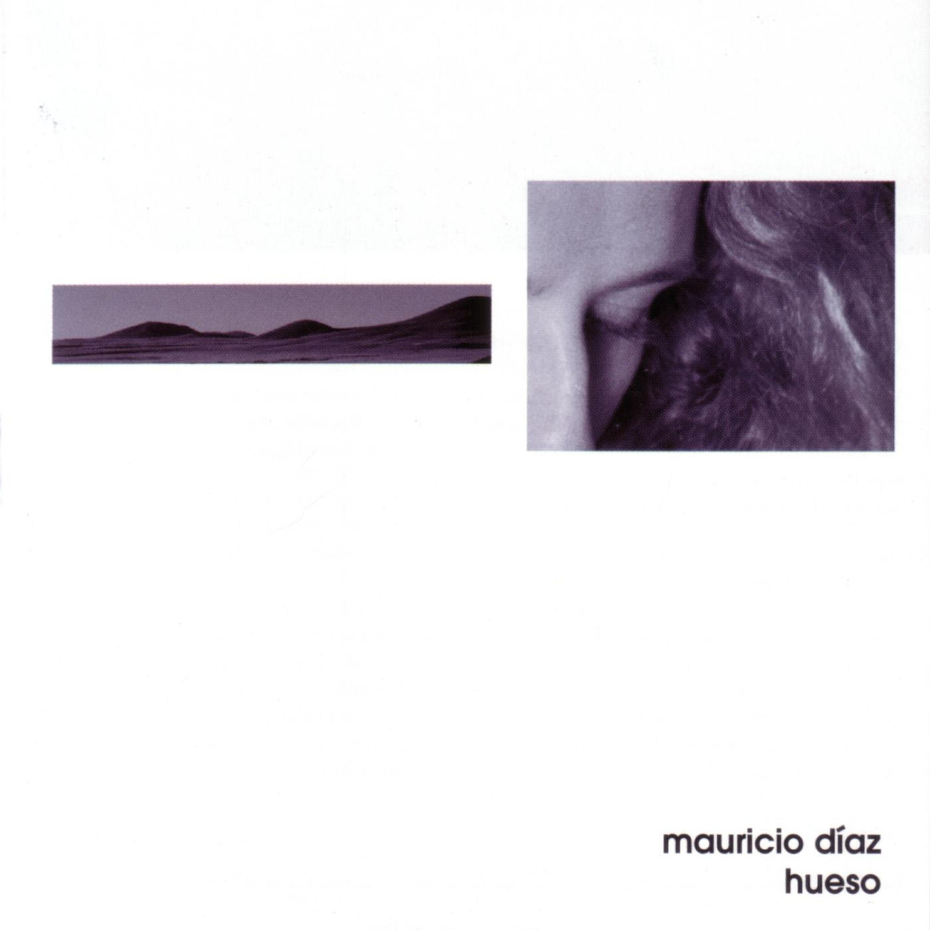 Mauricio Díaz "Hueso"