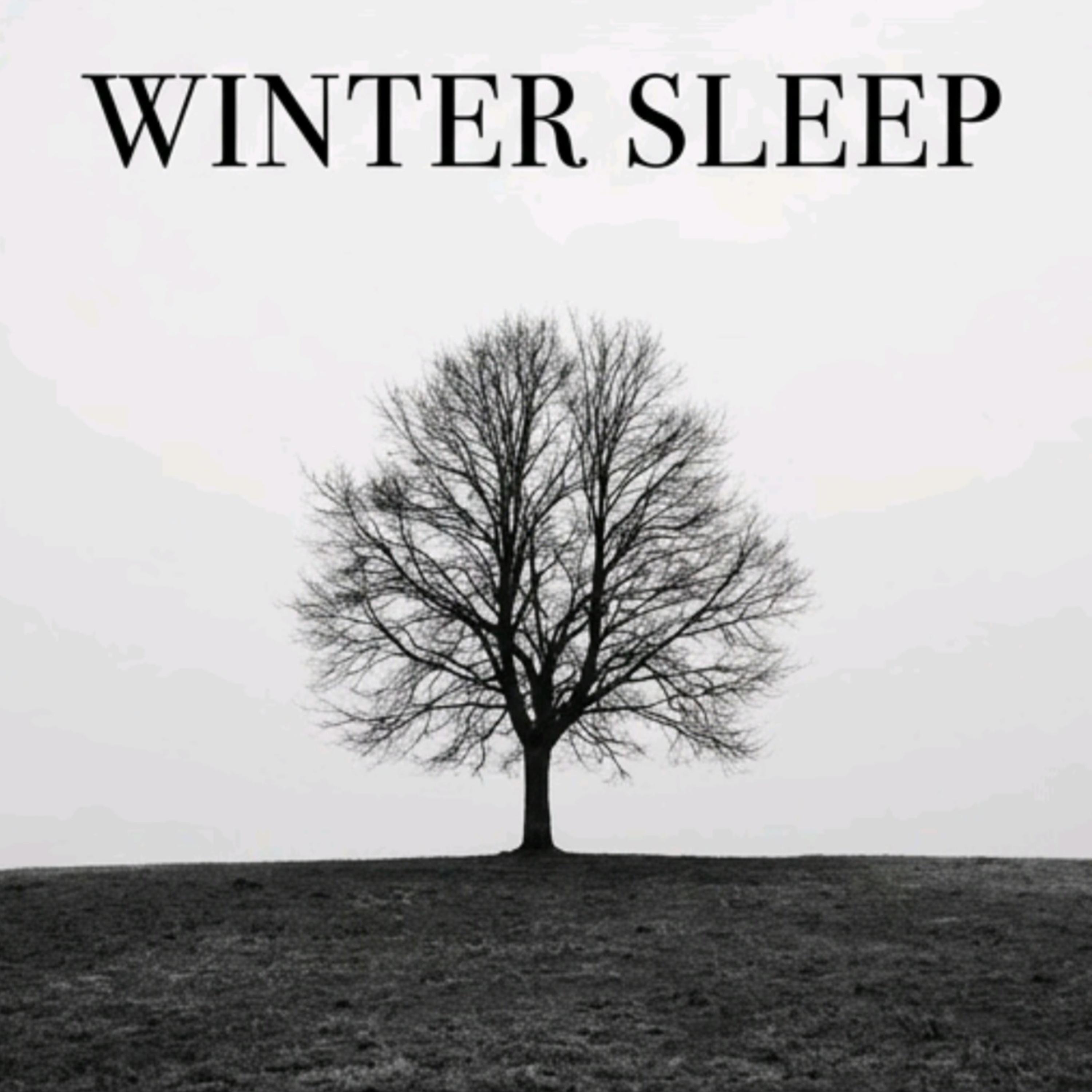 Релиз Winter Sleep