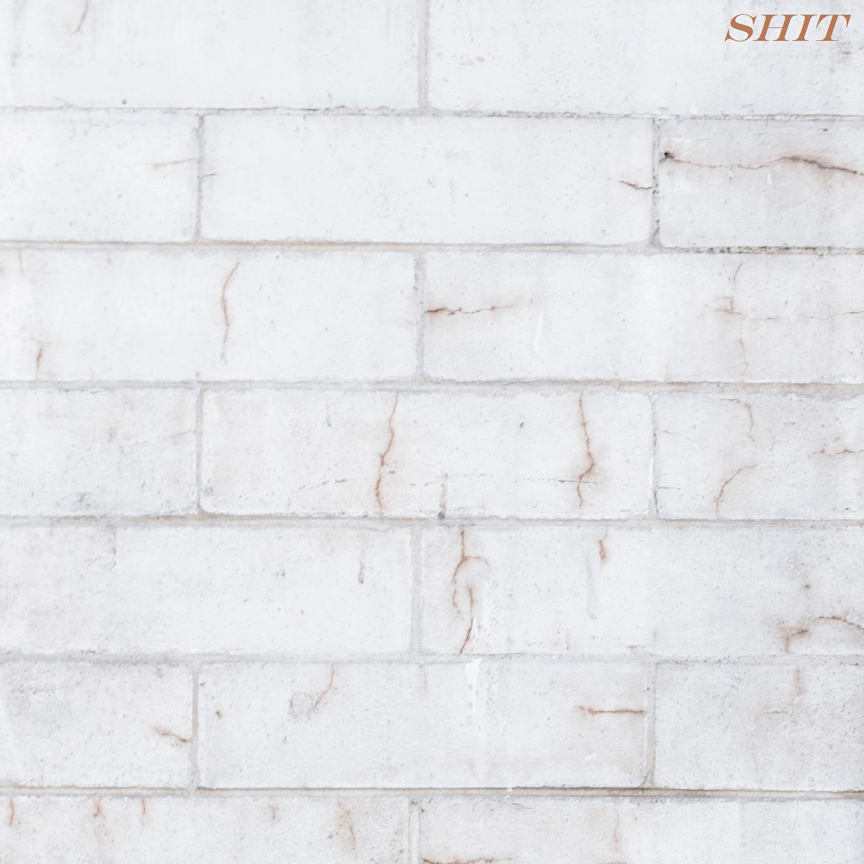 Релиз Shit