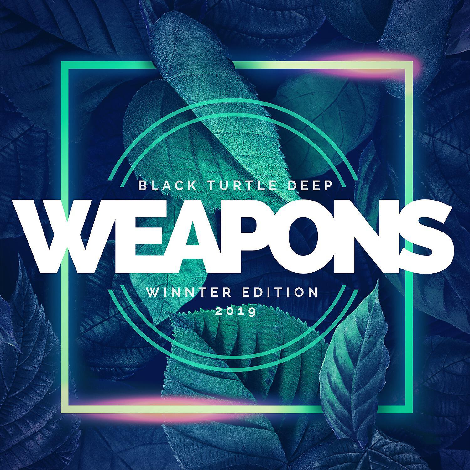 Релиз Black Turtle Deep Weapons Winter Edition 2019