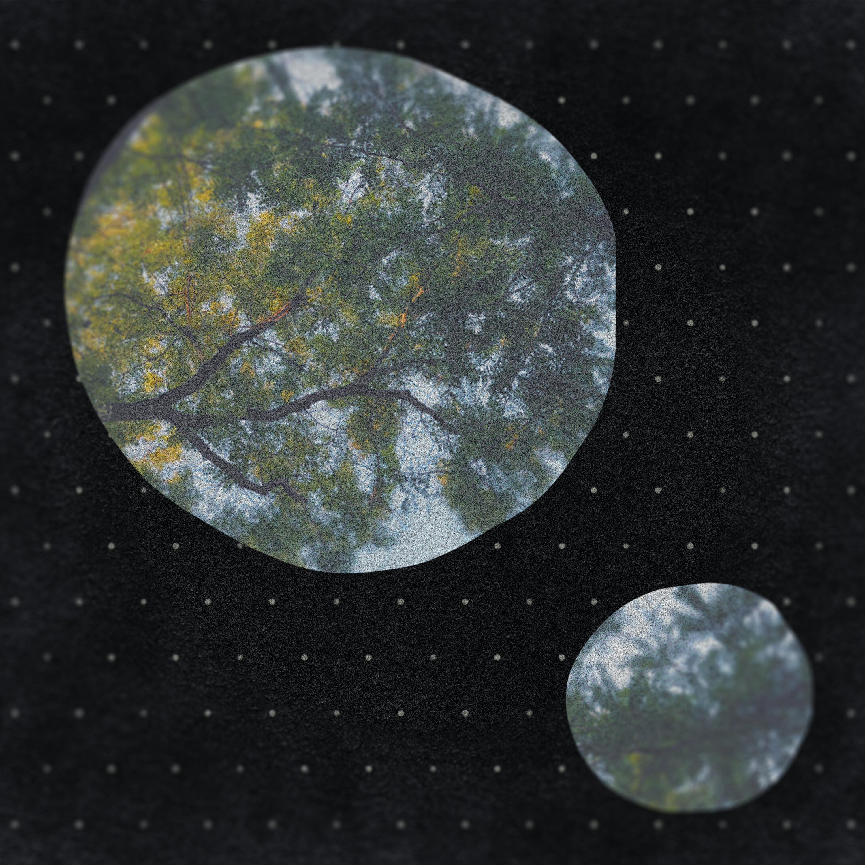 Релиз Forest Dreaming
