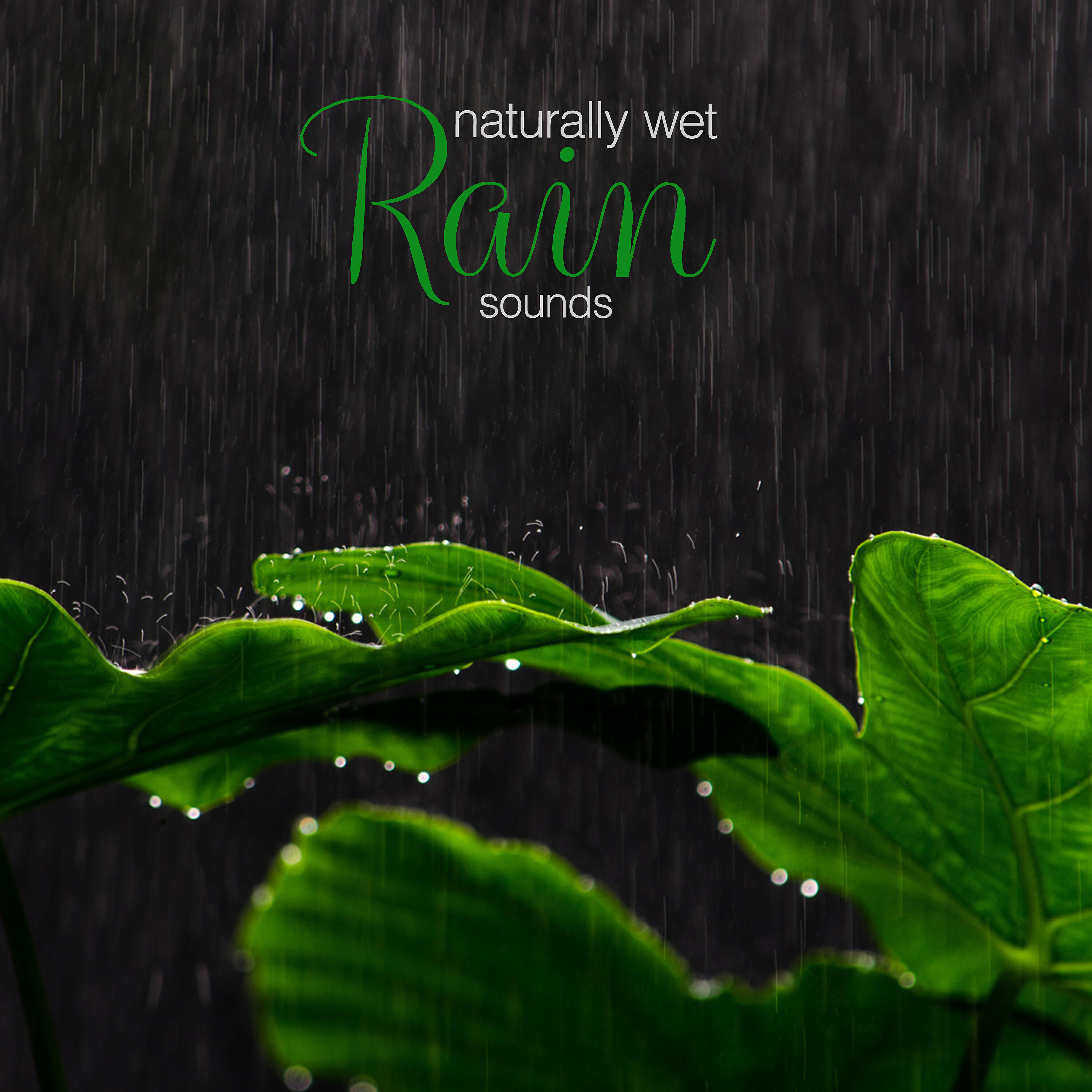 Релиз Naturally Wet: Rain Sounds
