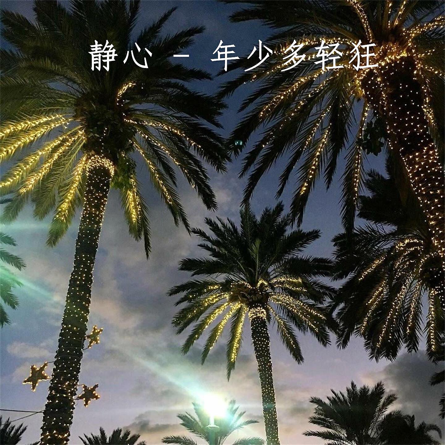 Релиз 年少多轻狂