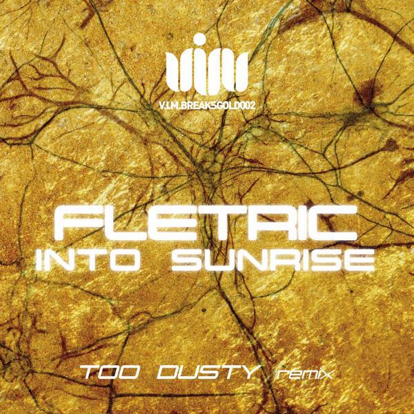 Постер альбома Into Sunrise (Too Dusty Remix)