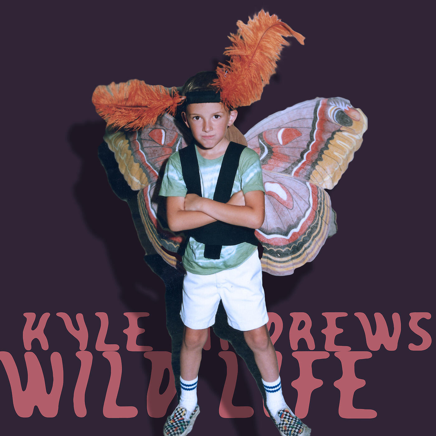 Релиз Wild Life