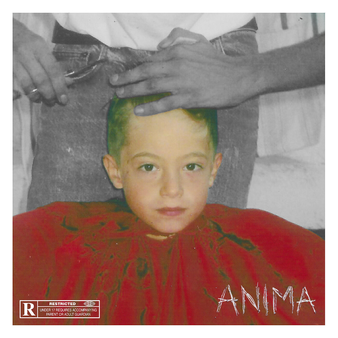 Релиз ANIMA