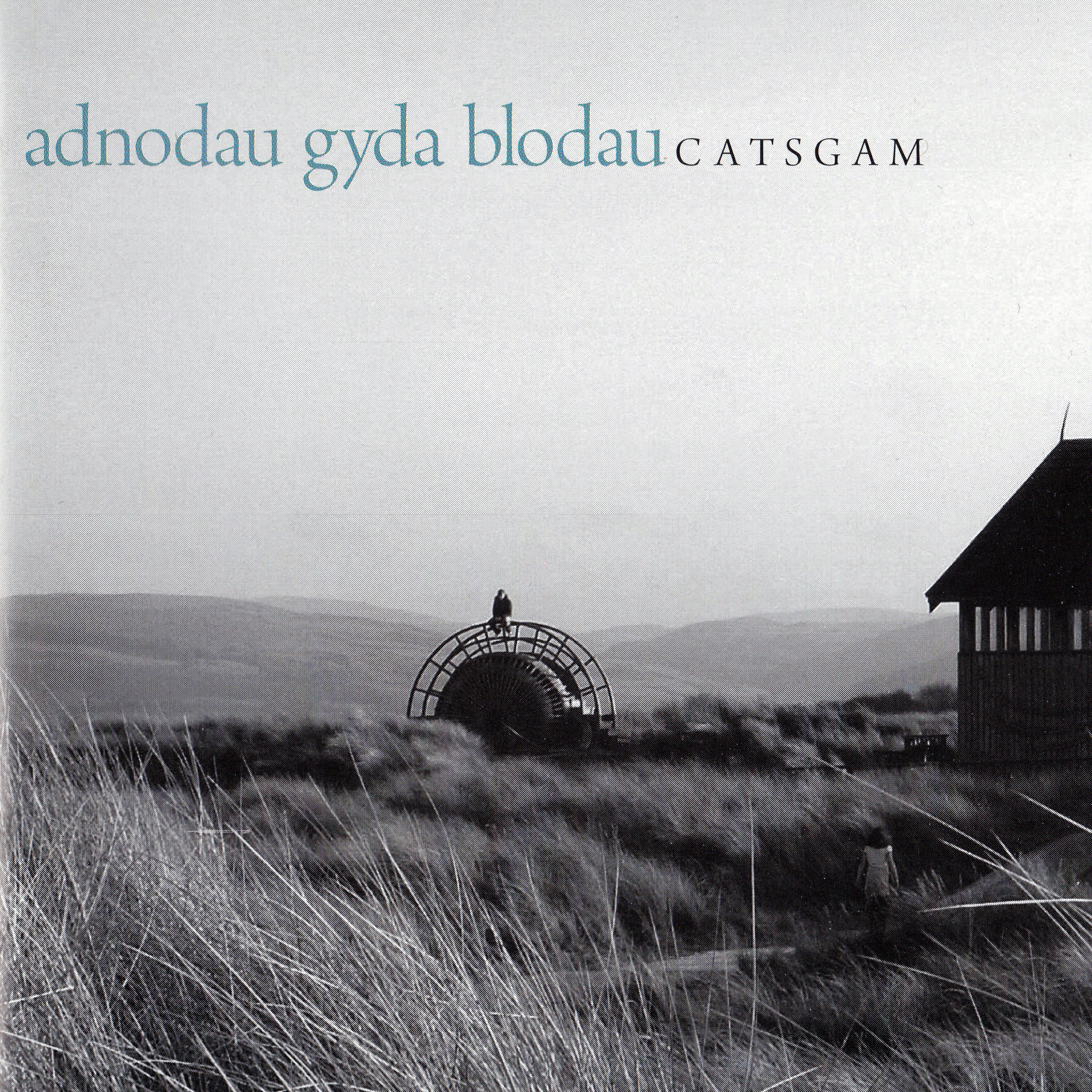 Релиз Adnodau Gyda Blodau