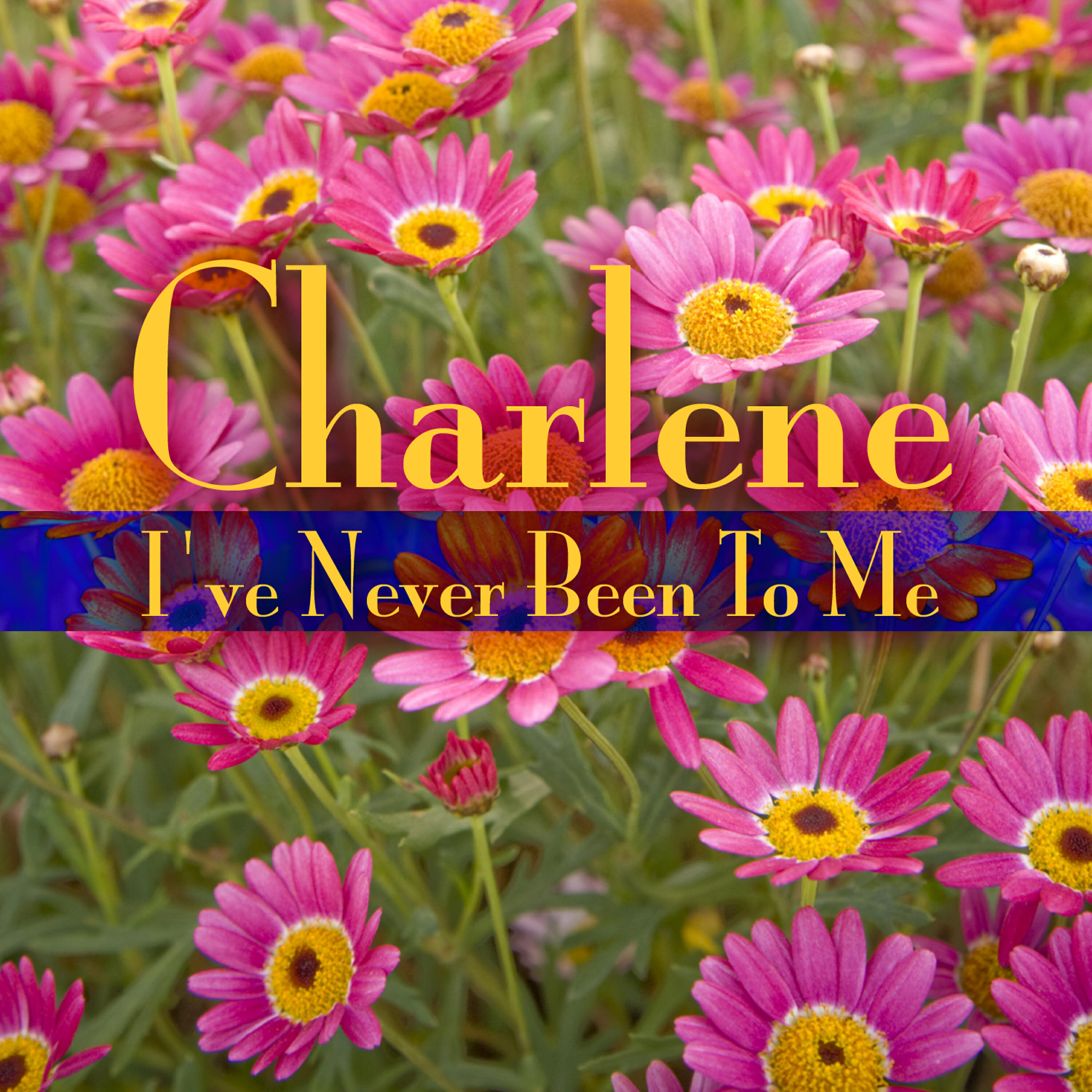 Релиз I’ve Never Been To Me (Re-Recorded Version)