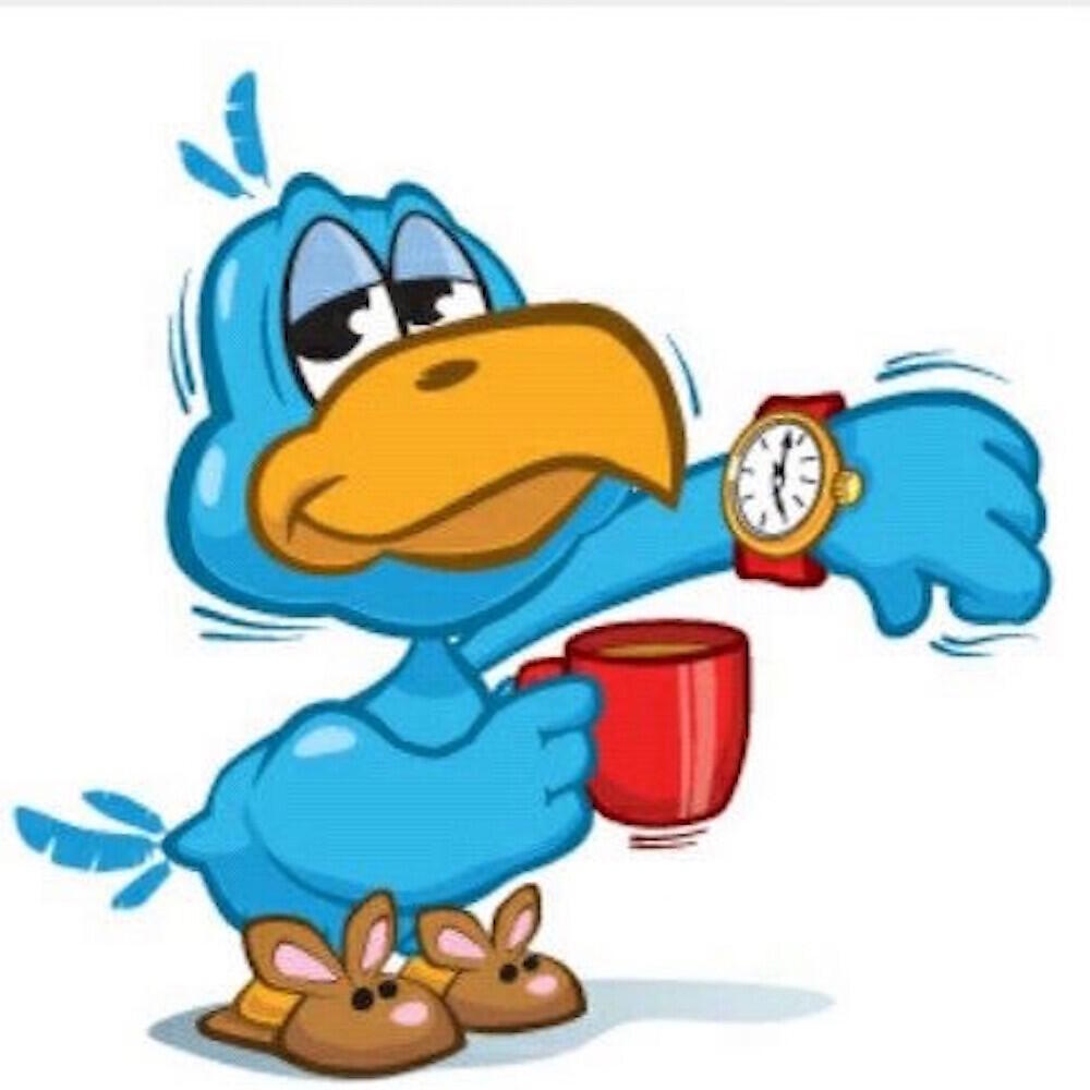 Релиз Early Bird