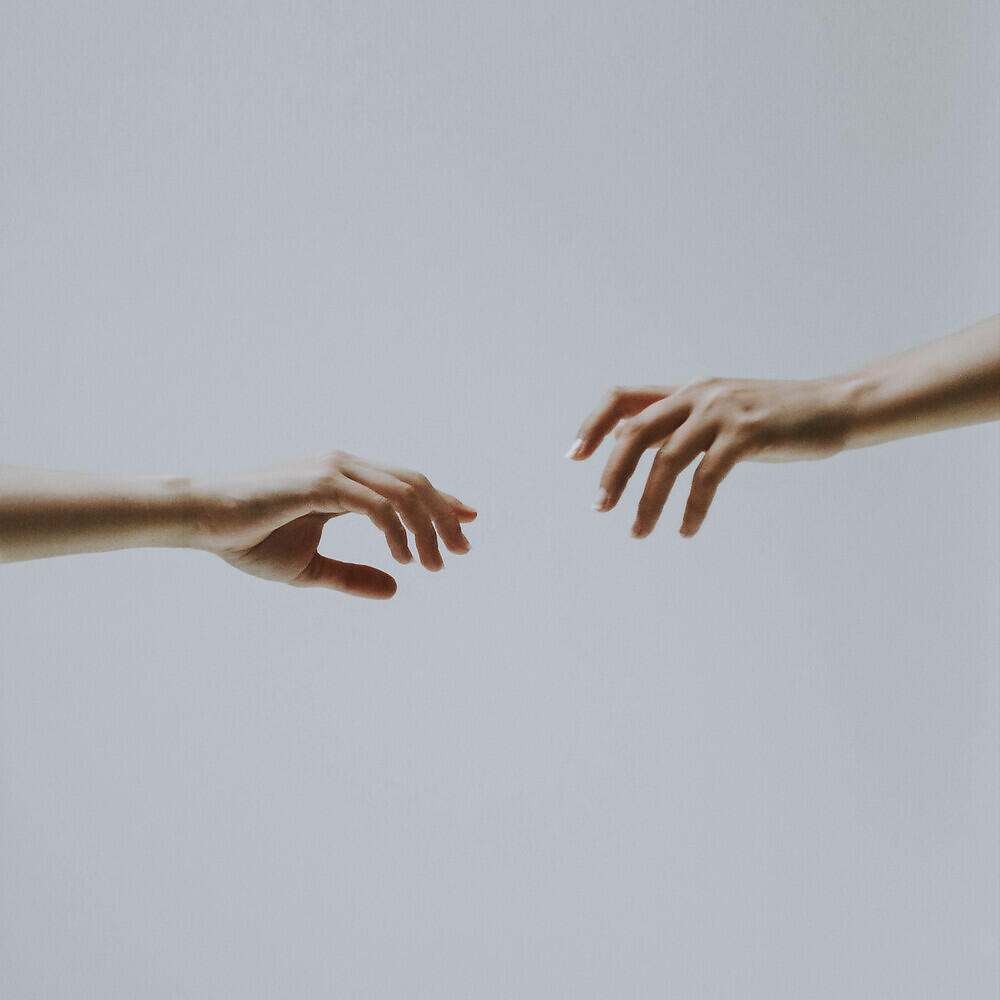 Johanna Cranitch
