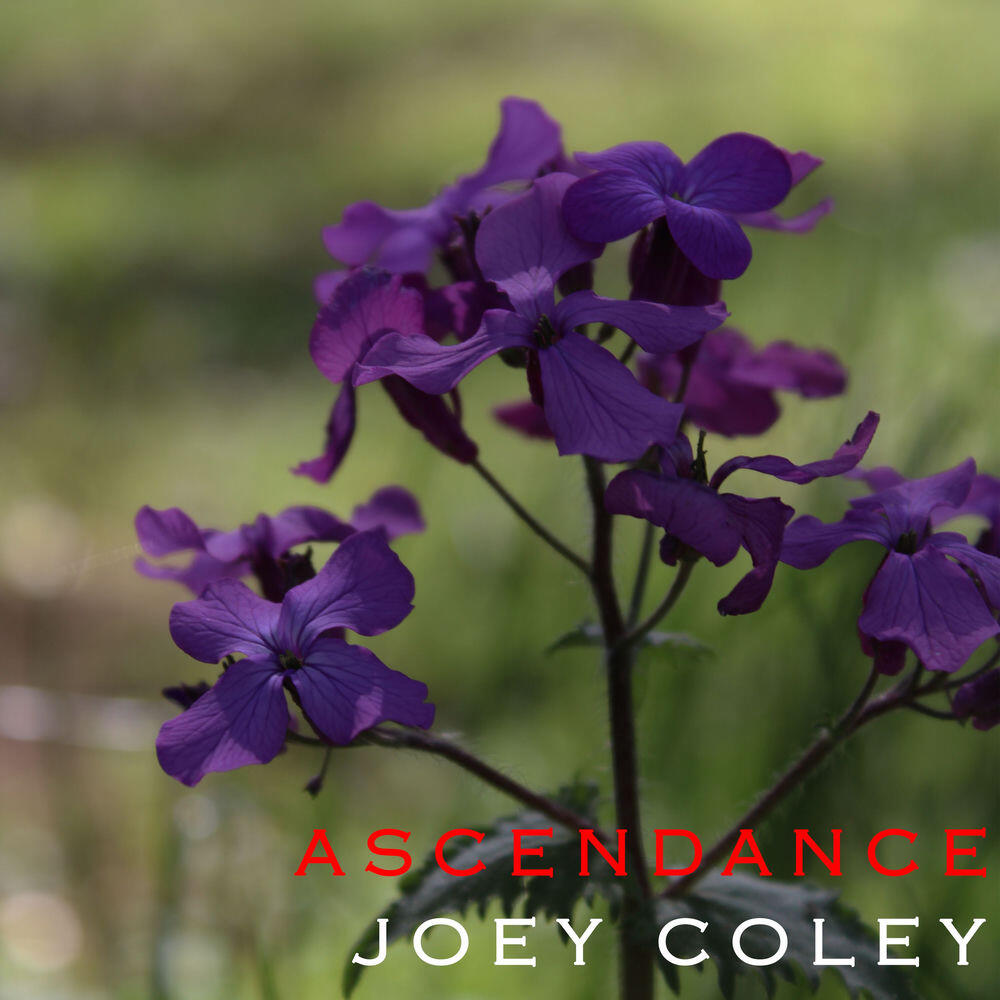 Joey Coley