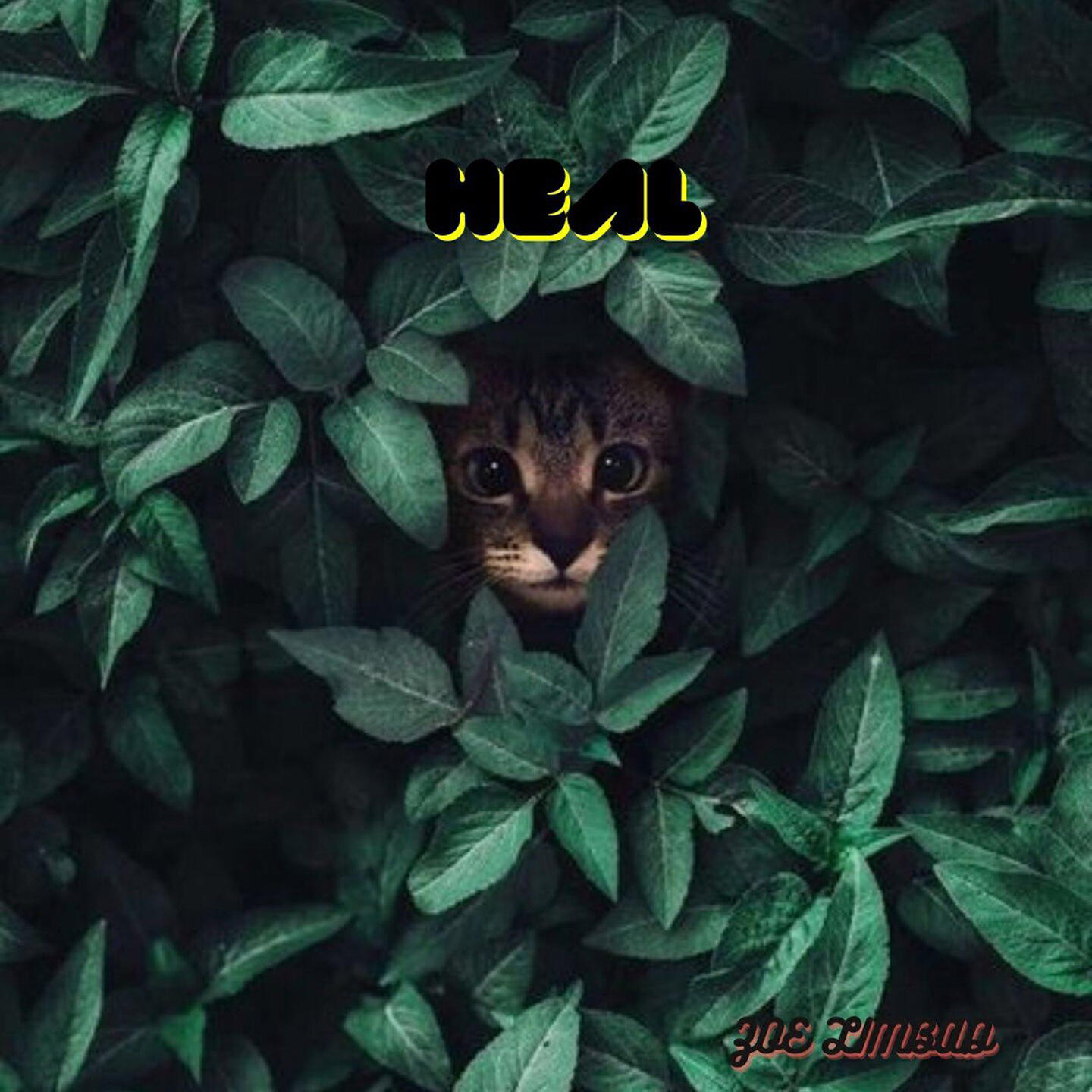 Релиз HEAL