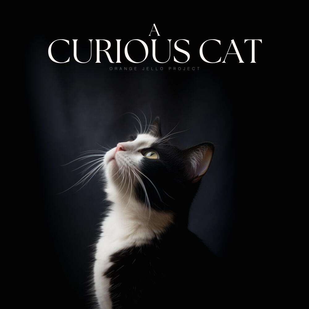 Релиз A Curious Cat