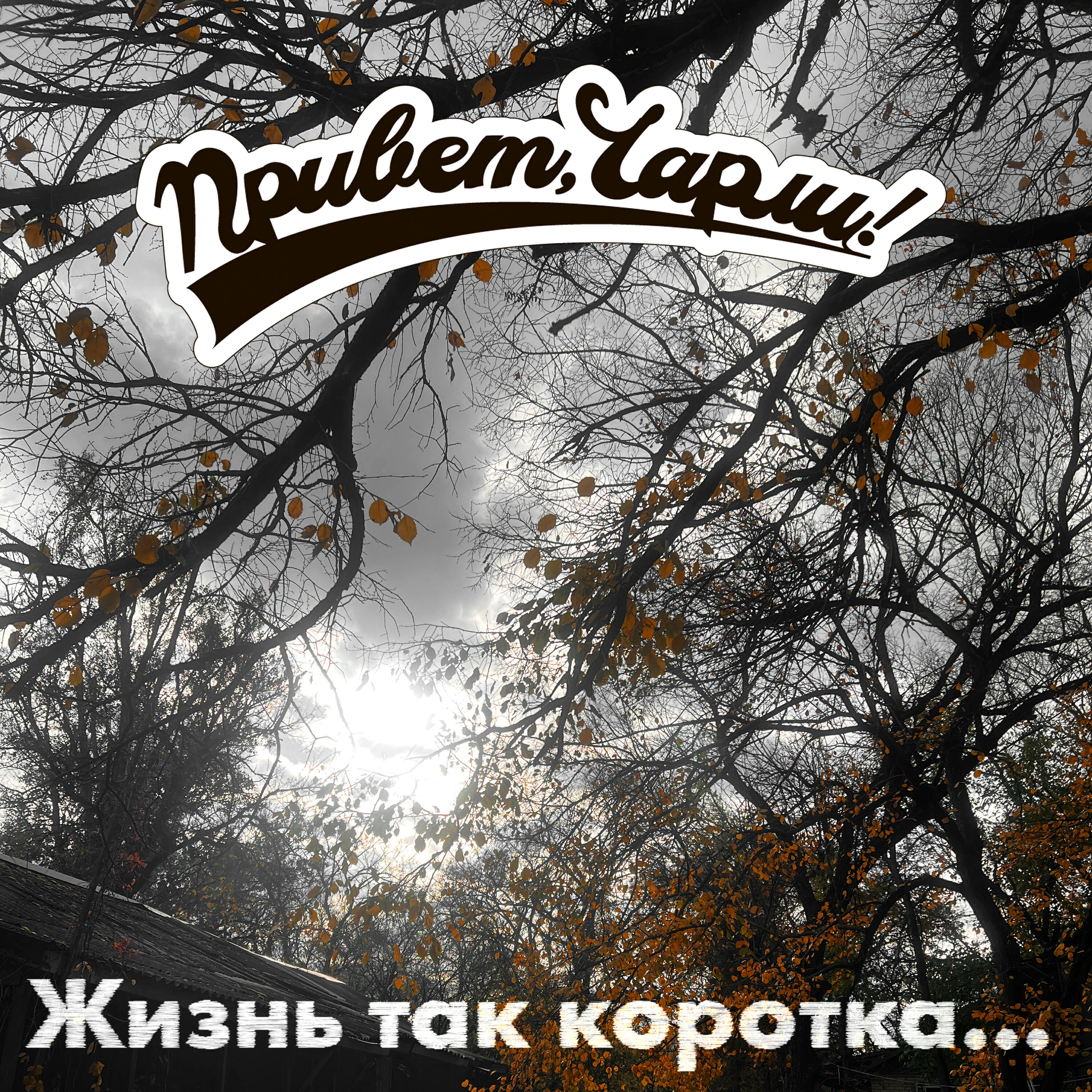 Постер альбома Жизнь так коротка...